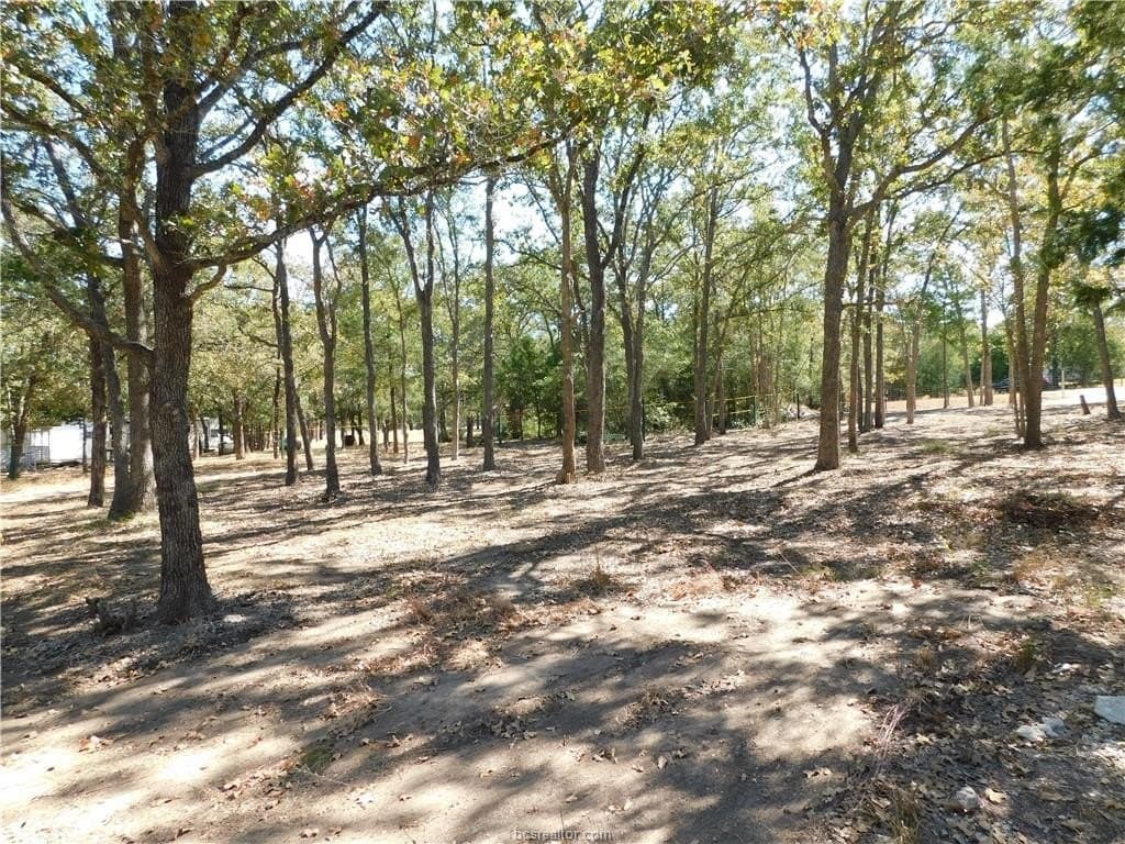 0.34 acres in Burleson County - photo 16