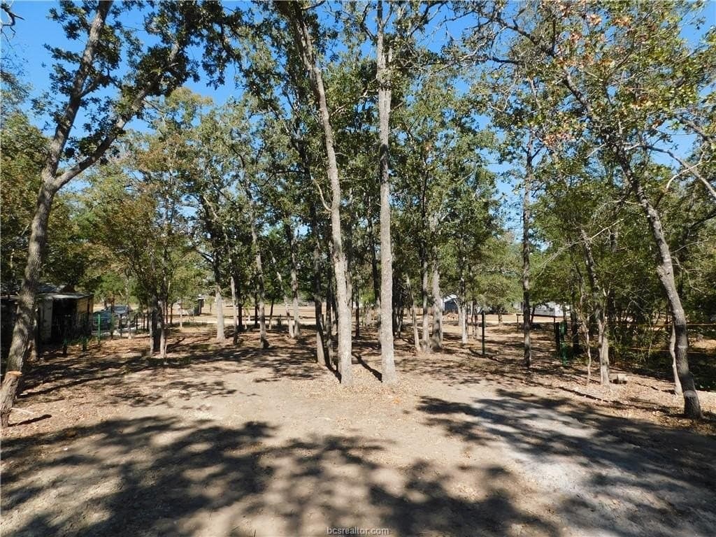 0.34 acres in Burleson County - photo 6