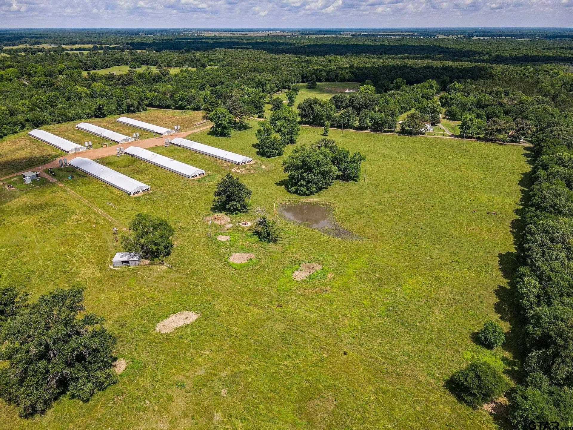 20 acres in Morris County gallery image 2