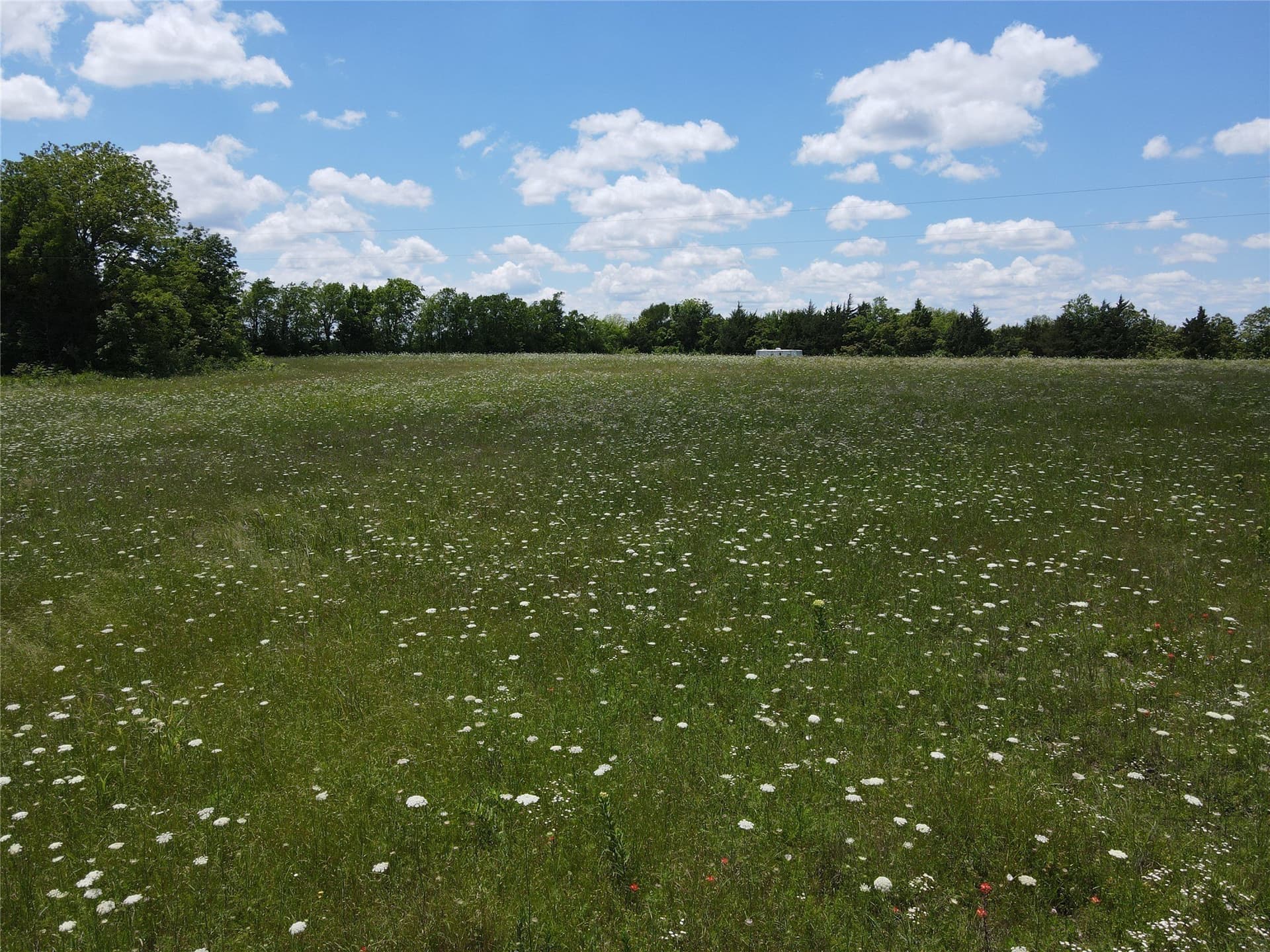 17 acres in Fannin County gallery image 4