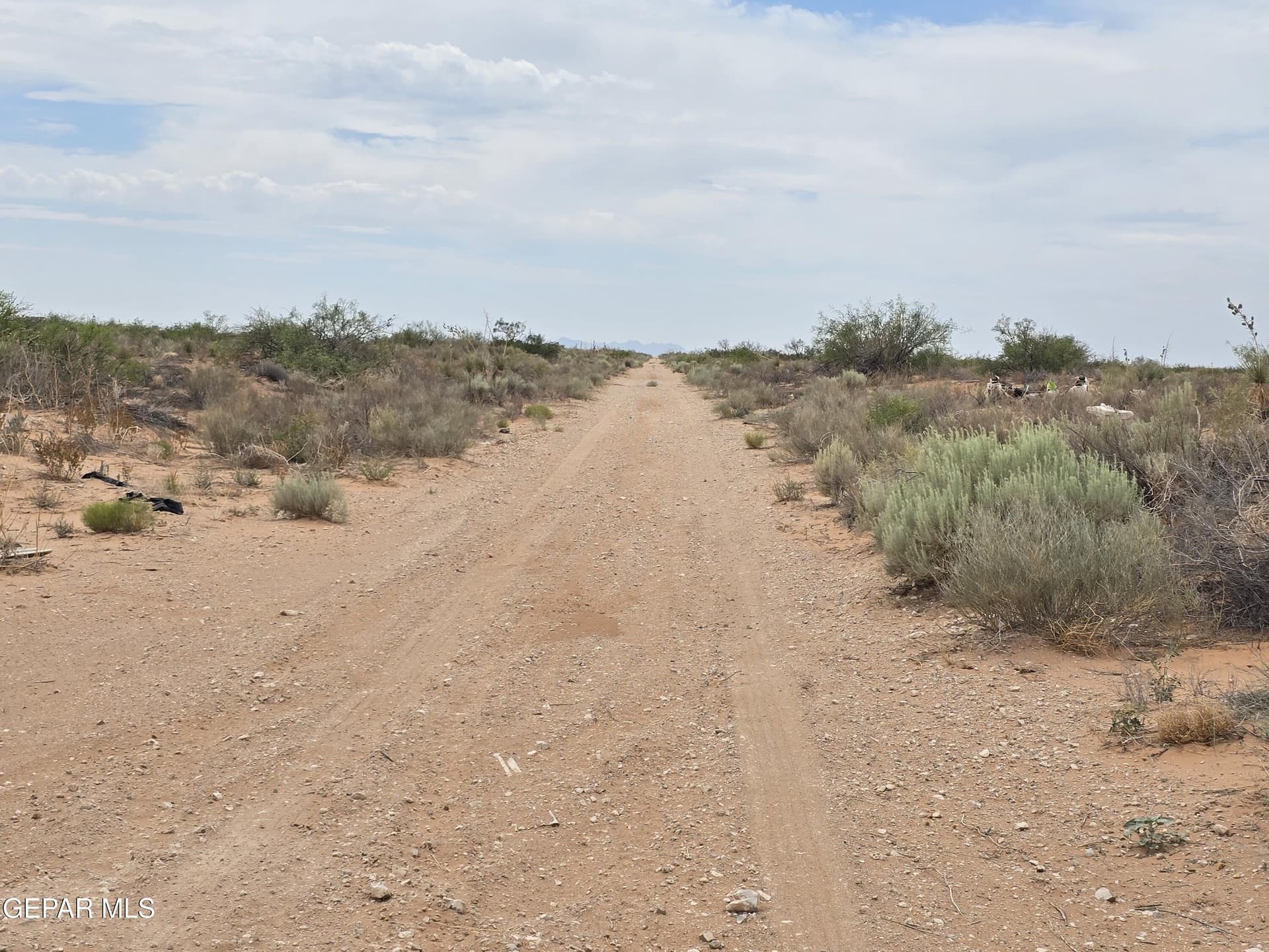 0.82 acres in El Paso County - photo 8
