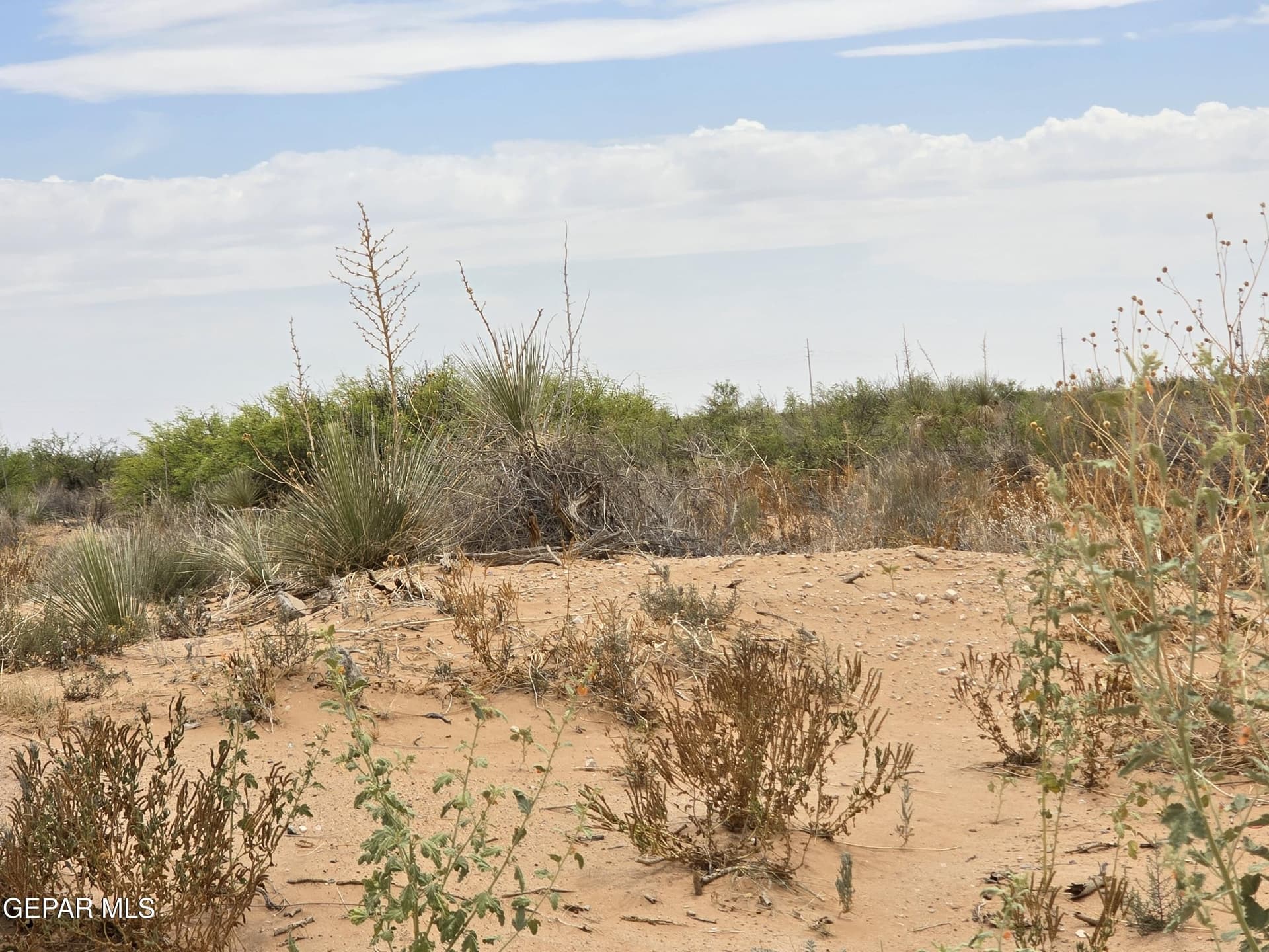 0.82 acres in El Paso County - photo 14