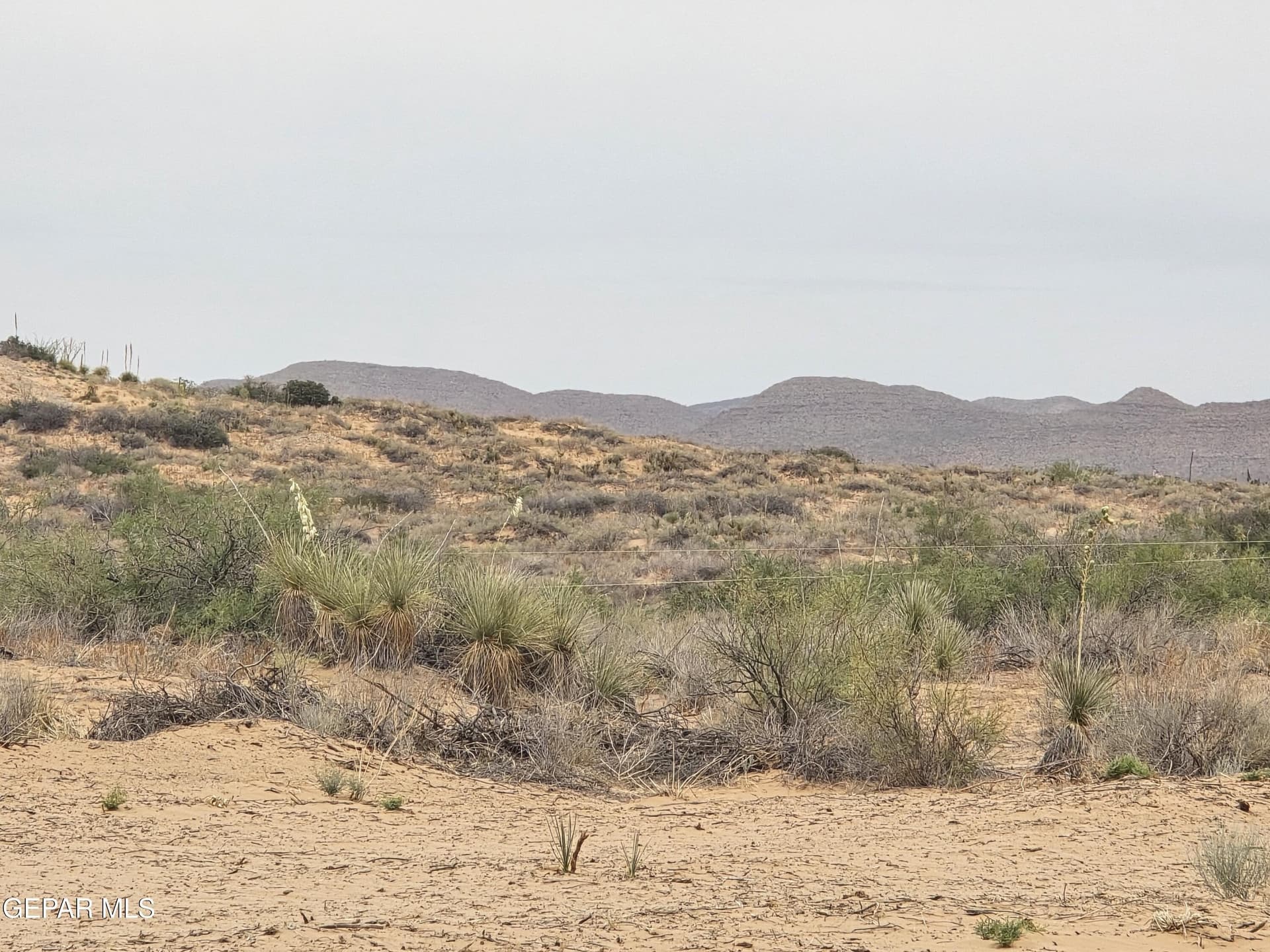 0.82 acres in El Paso County featured view