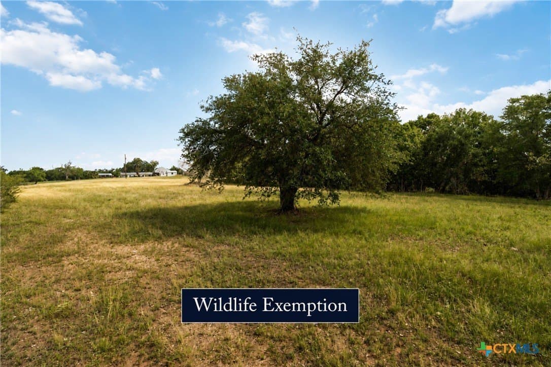 24 acres in Caldwell County - photo 7