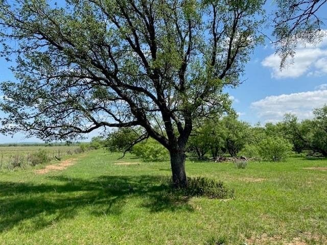 160.72 acres in Callahan County gallery image 3