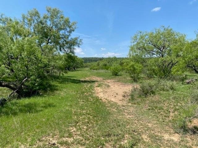 160.72 acres in Callahan County featured view