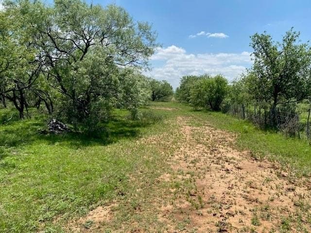 160.72 acres in Callahan County gallery image 4