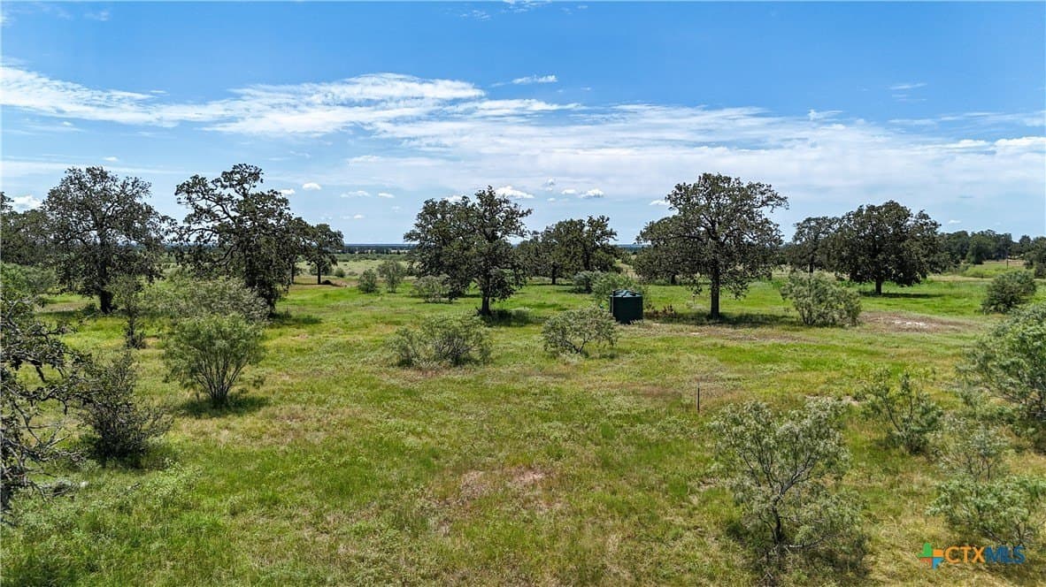 1.33 acres in Bastrop County gallery image 2