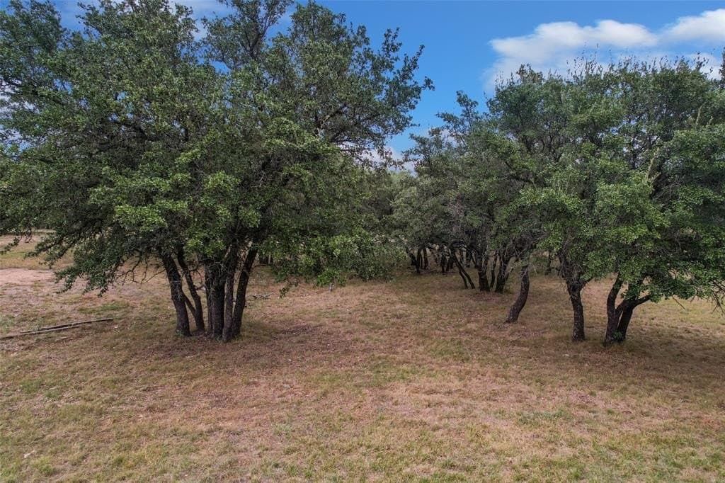 20 acres in Brown County gallery image 2