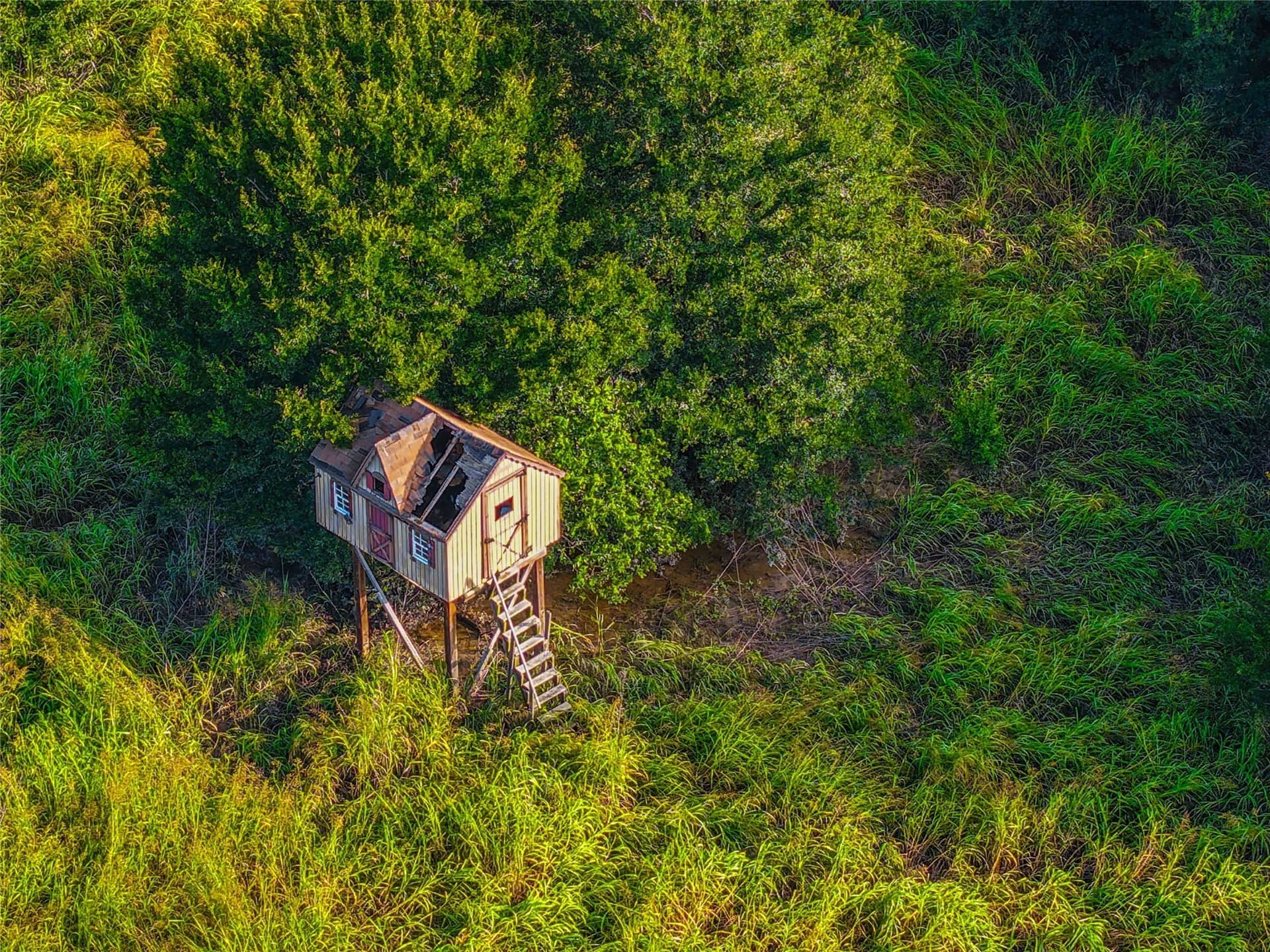 365.08 acres in Bell County - photo 8