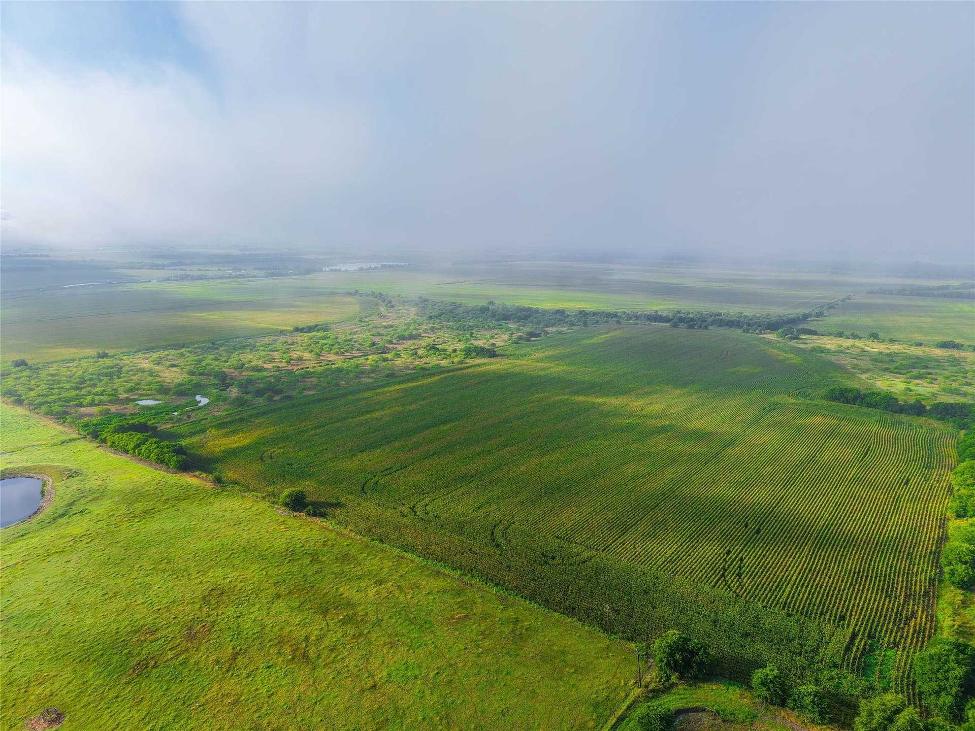 365.08 acres in Bell County - photo 11