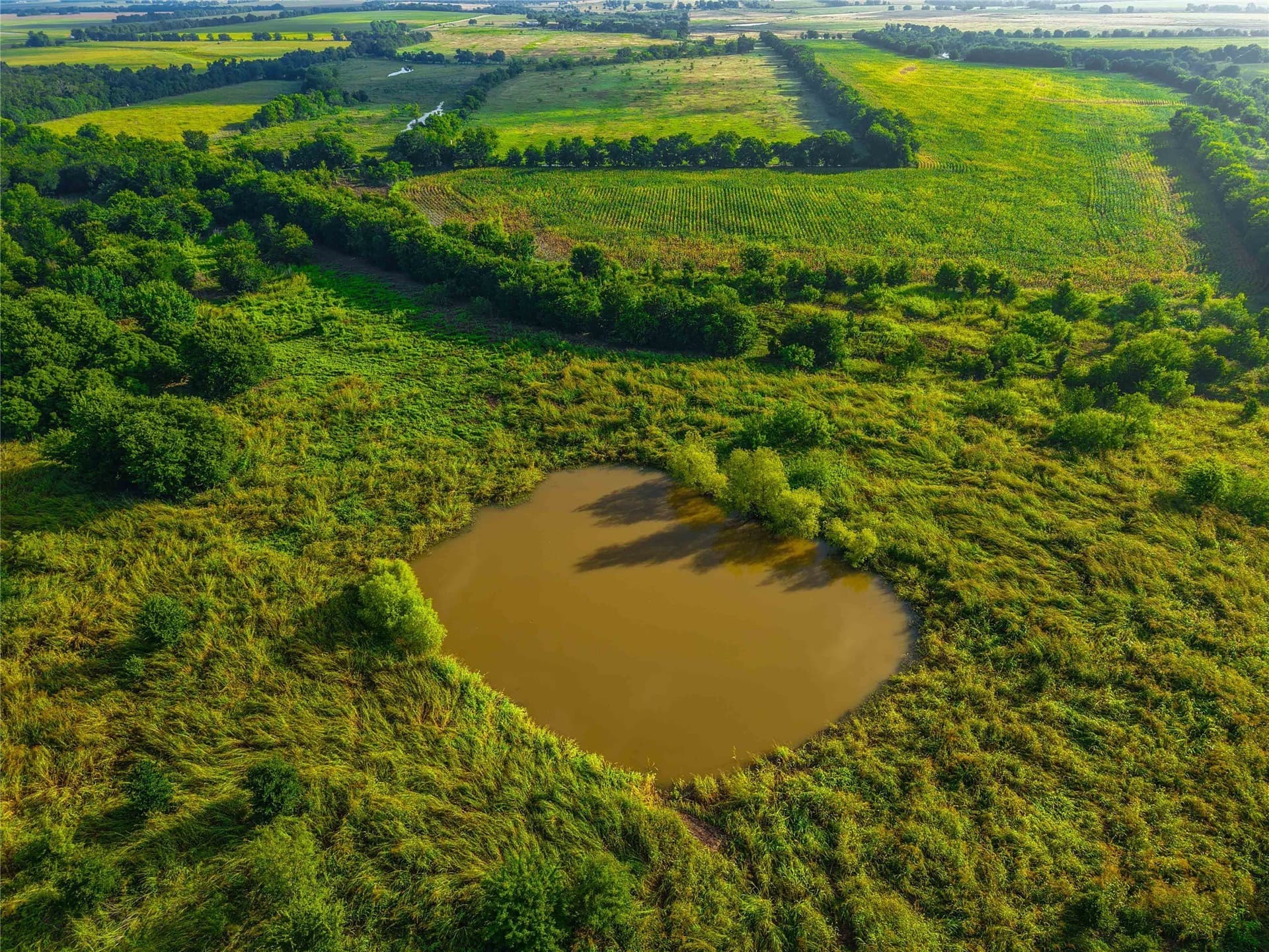 365.08 acres in Bell County - photo 23