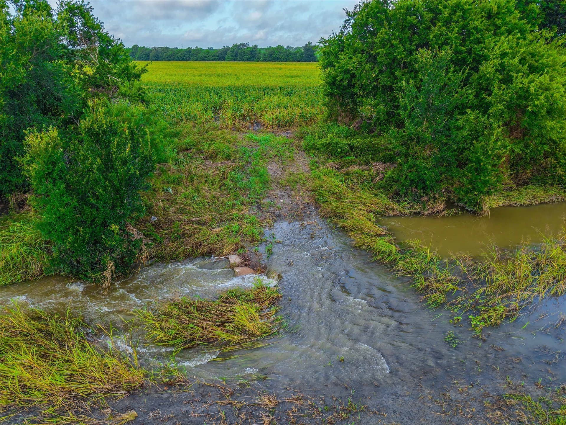 365.08 acres in Bell County - photo 22