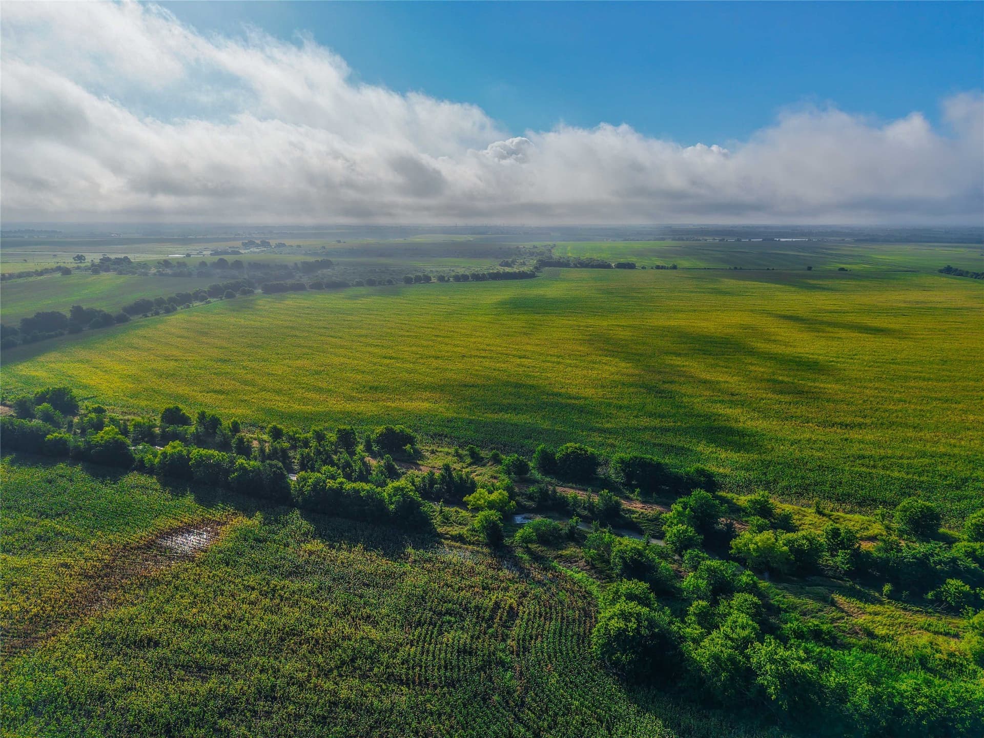 365.08 acres in Bell County - photo 16