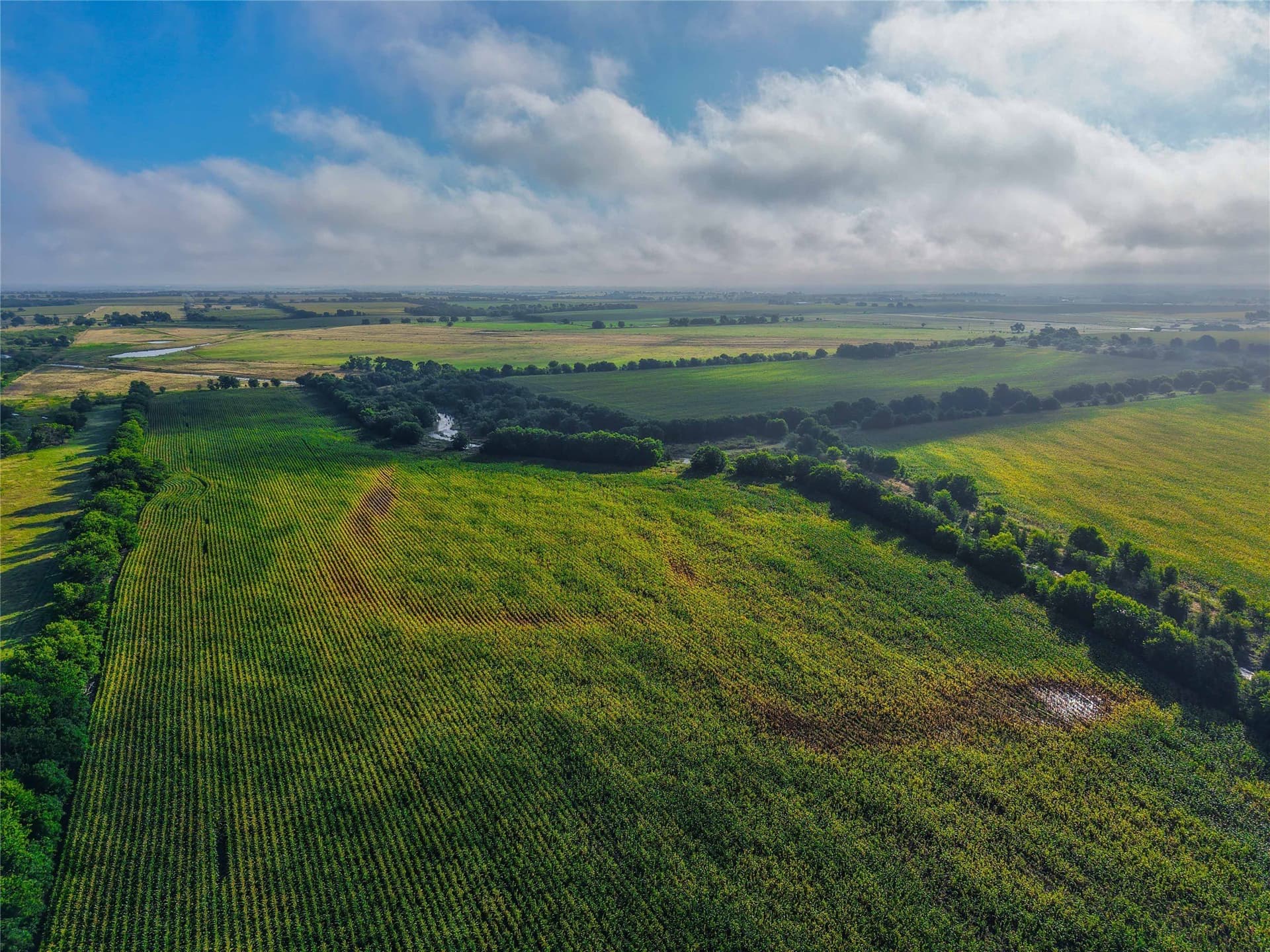 365.08 acres in Bell County - photo 15