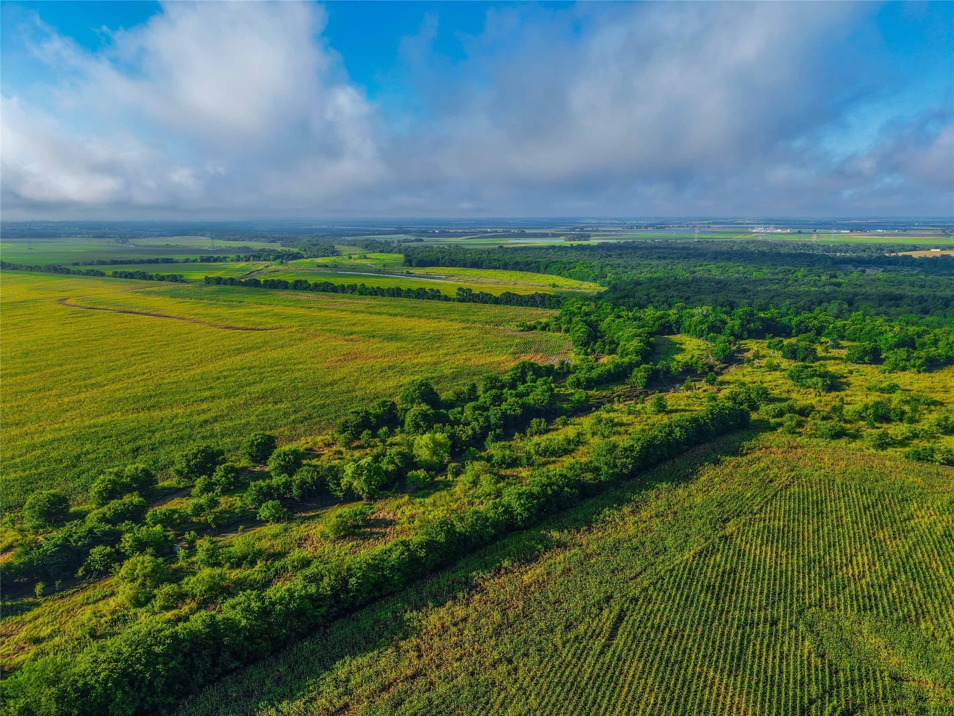 365.08 acres in Bell County - photo 17
