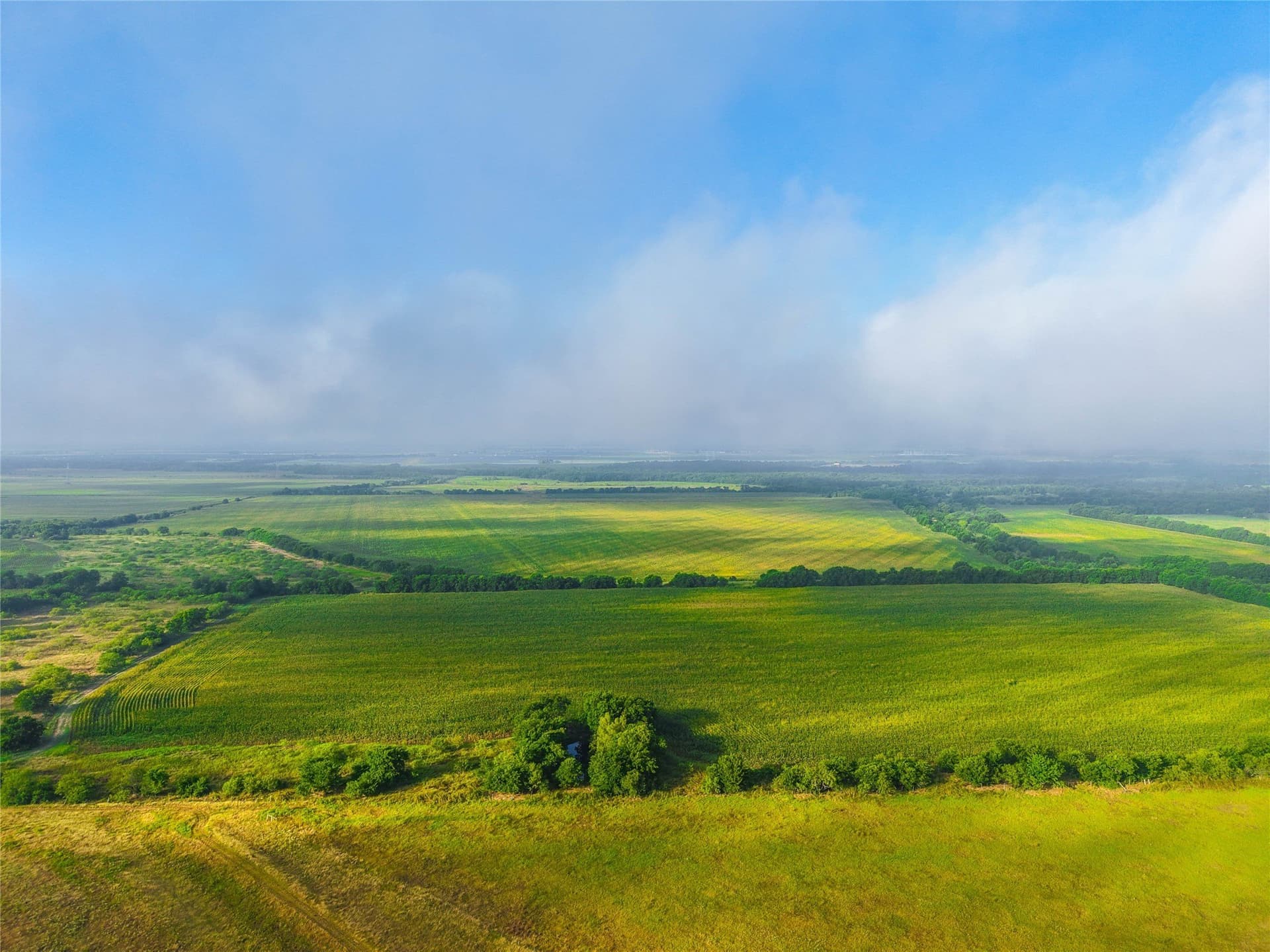 365.08 acres in Bell County - photo 7