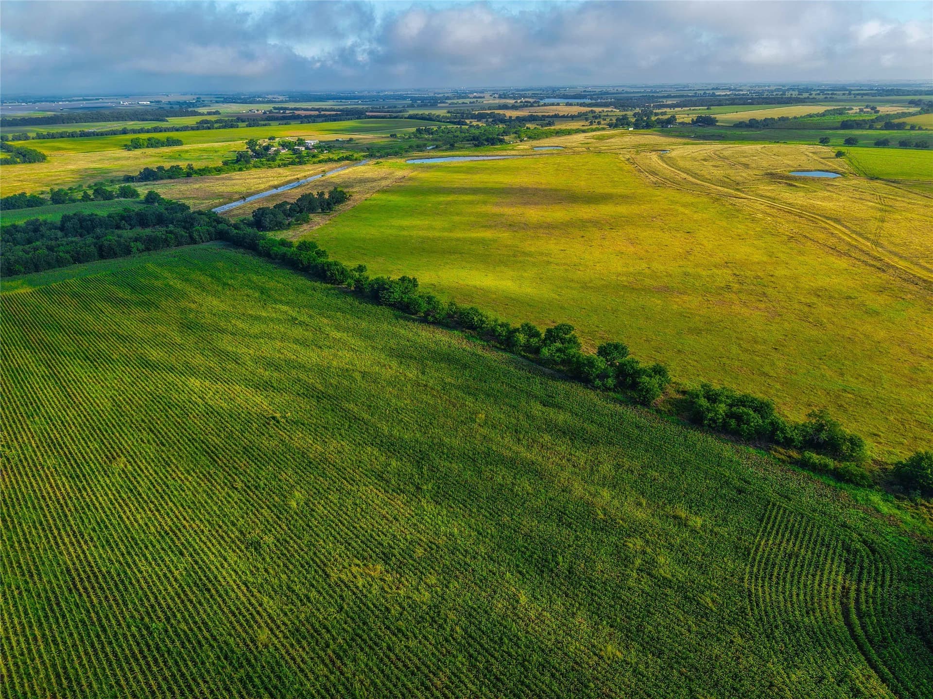 365.08 acres in Bell County - photo 19