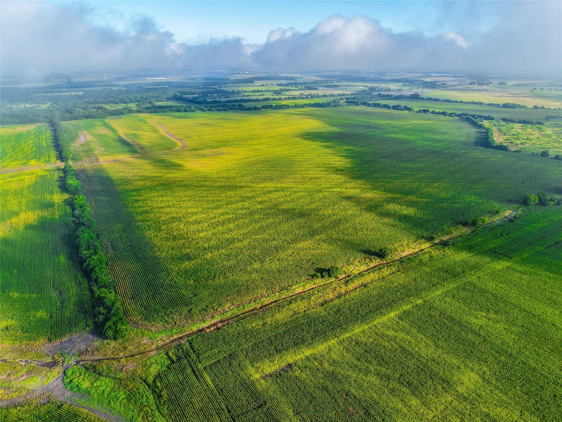 365.08 acres in Bell County - photo 10