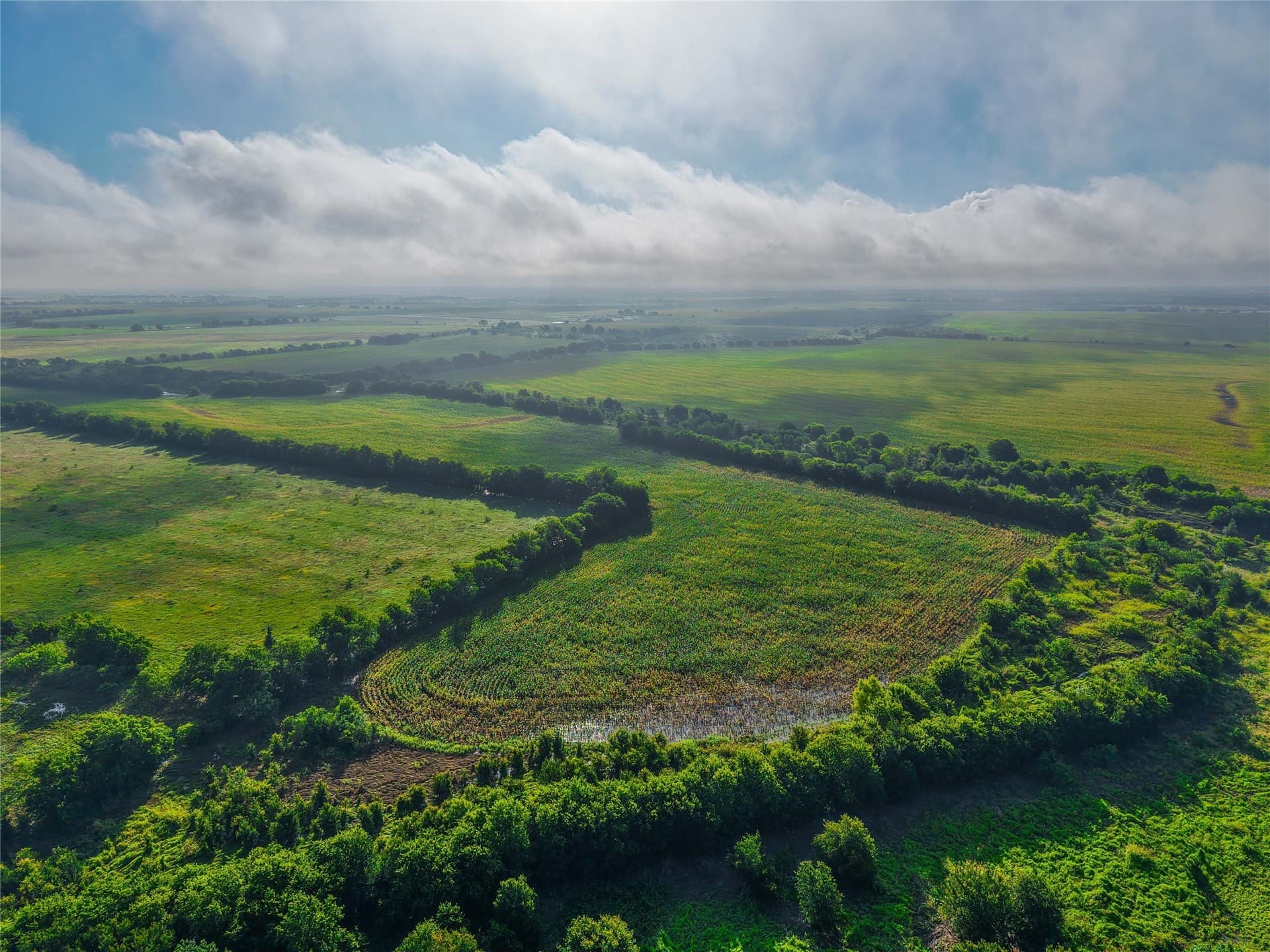 365.08 acres in Bell County - photo 5
