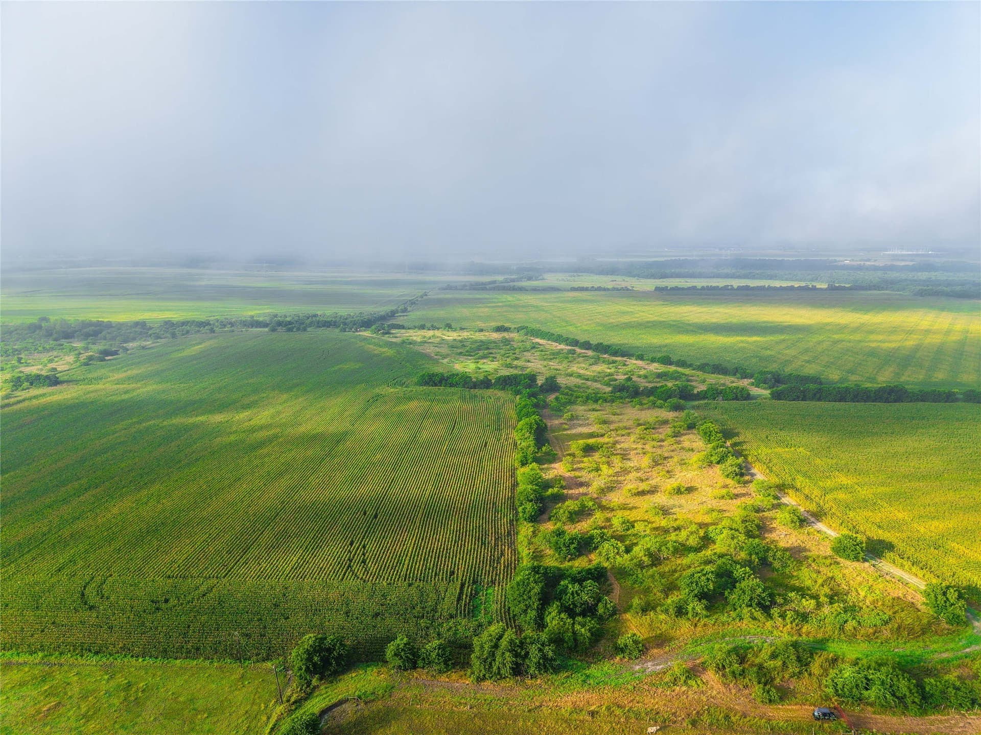 365.08 acres in Bell County - photo 12