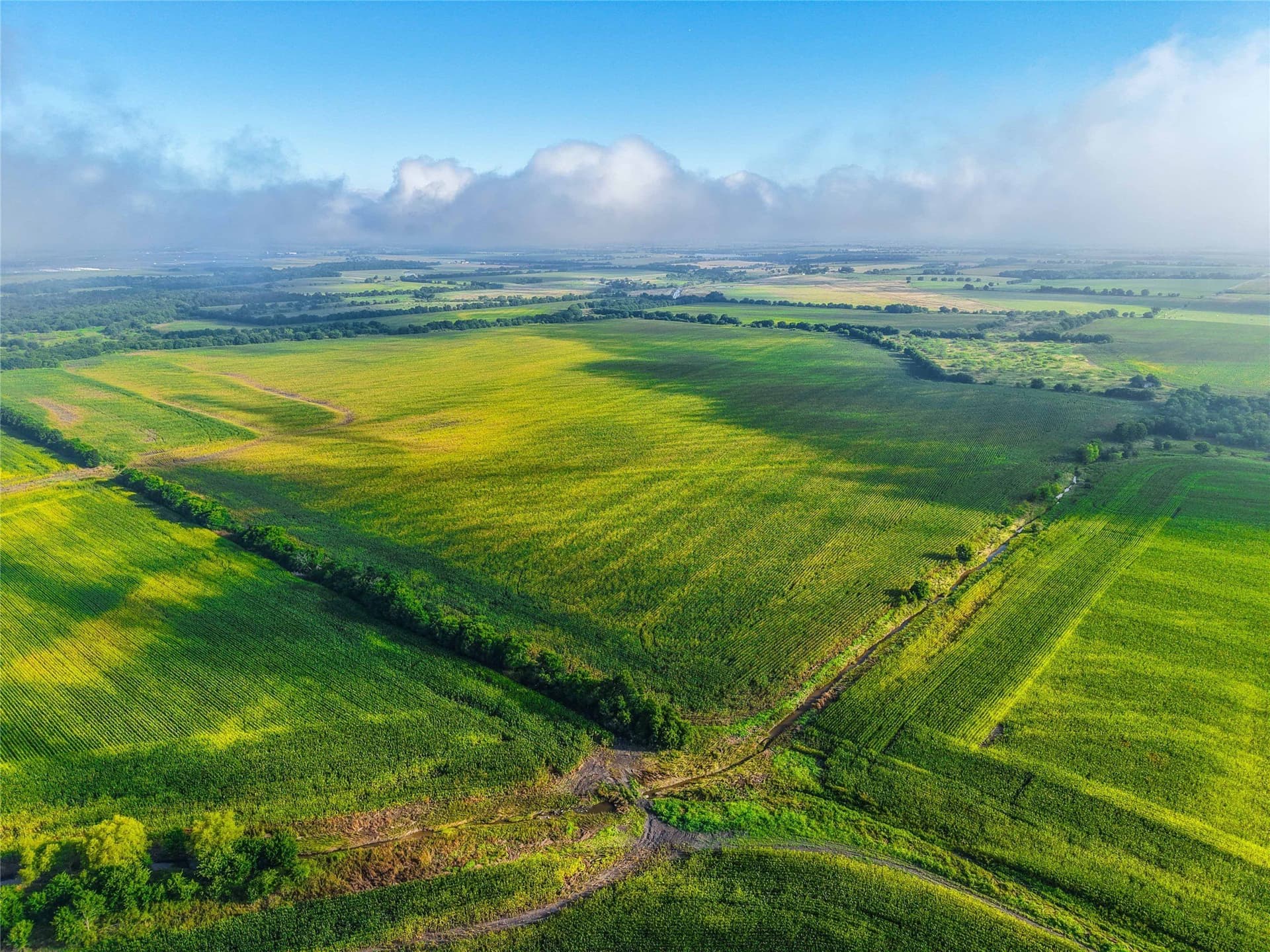 365.08 acres in Bell County - photo 14