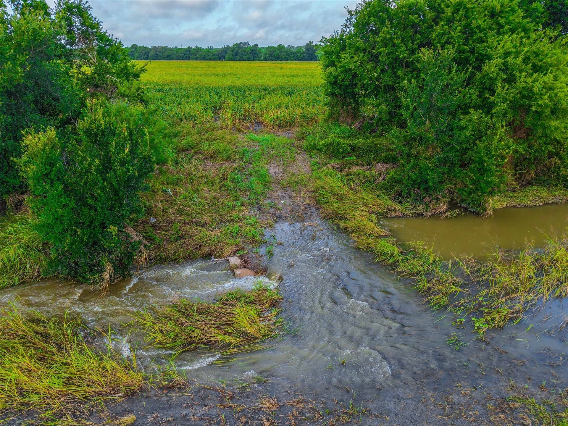 365.08 acres in Bell County - photo 4