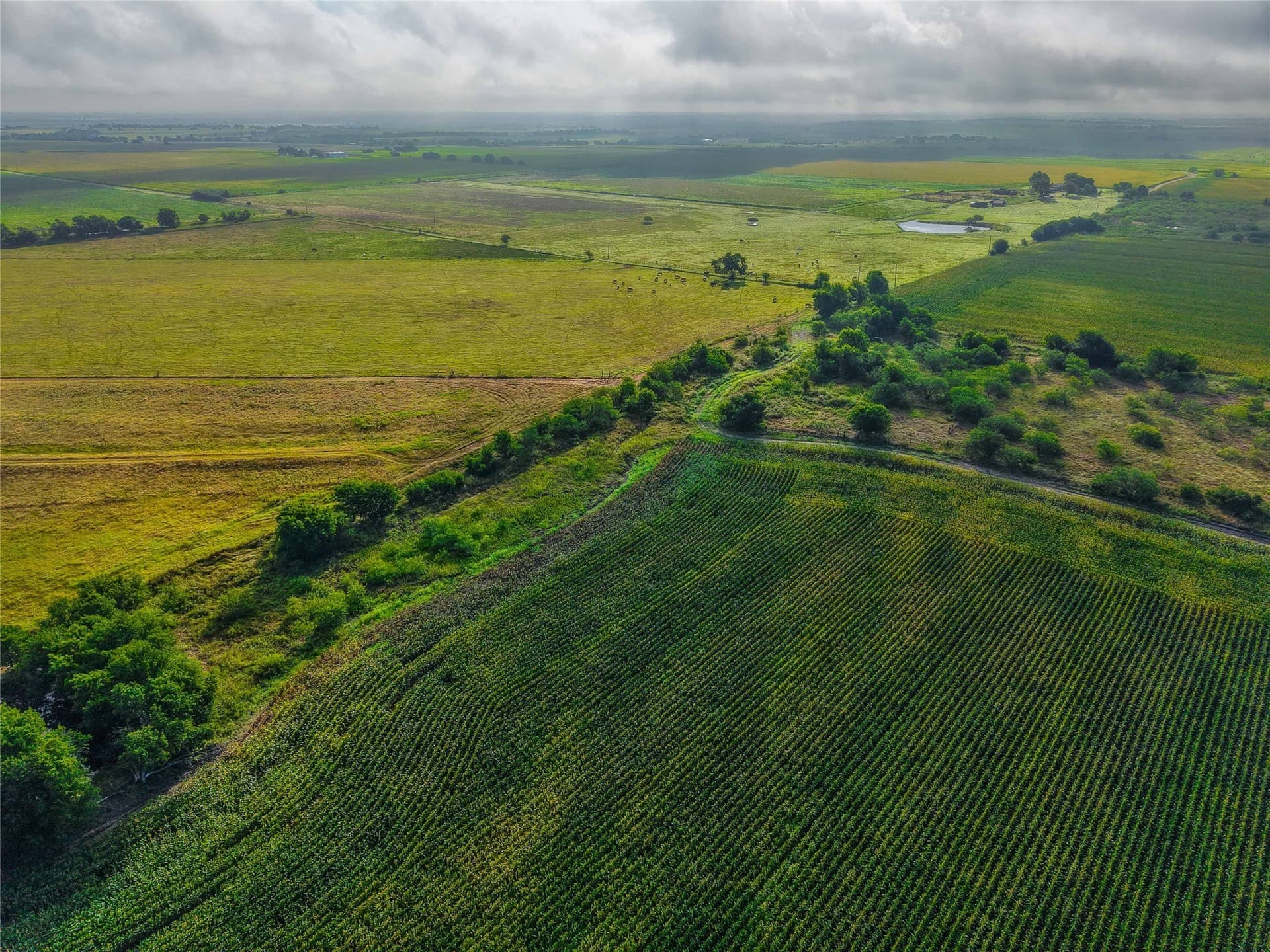 365.08 acres in Bell County - photo 18