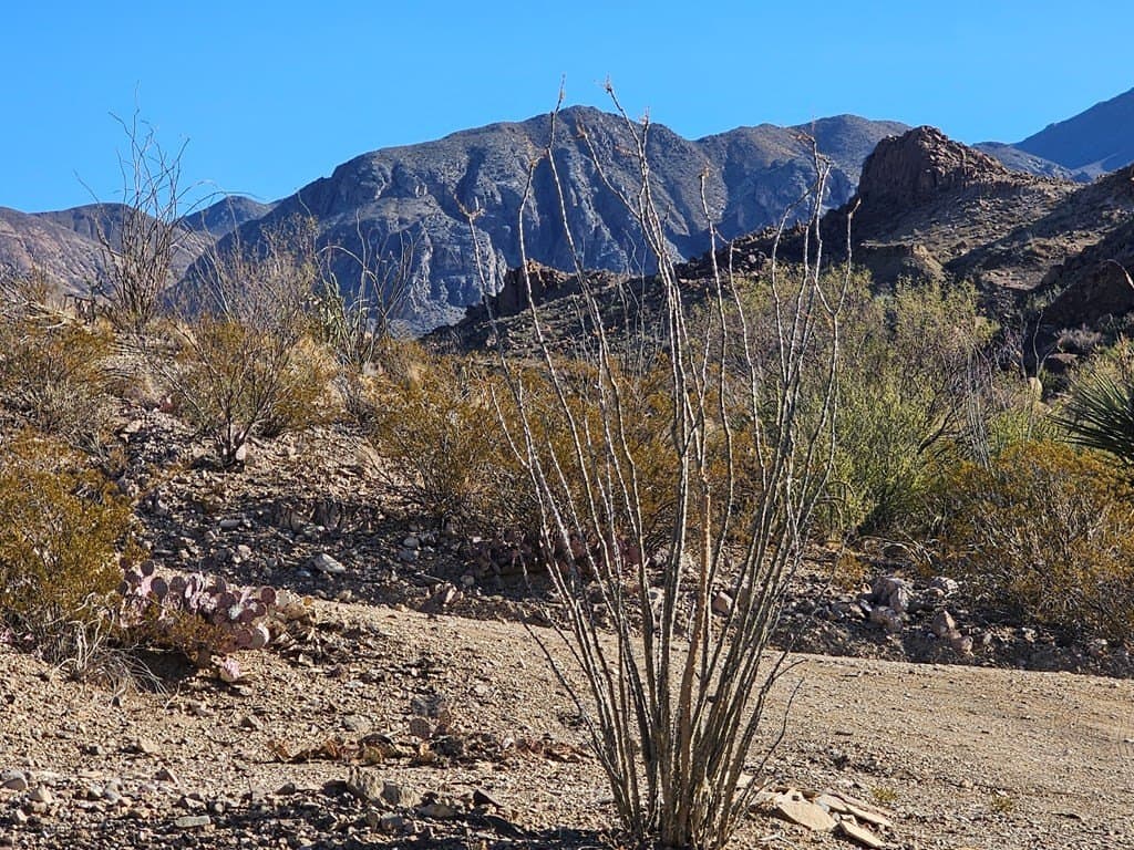 13 acres in Brewster County gallery image 2