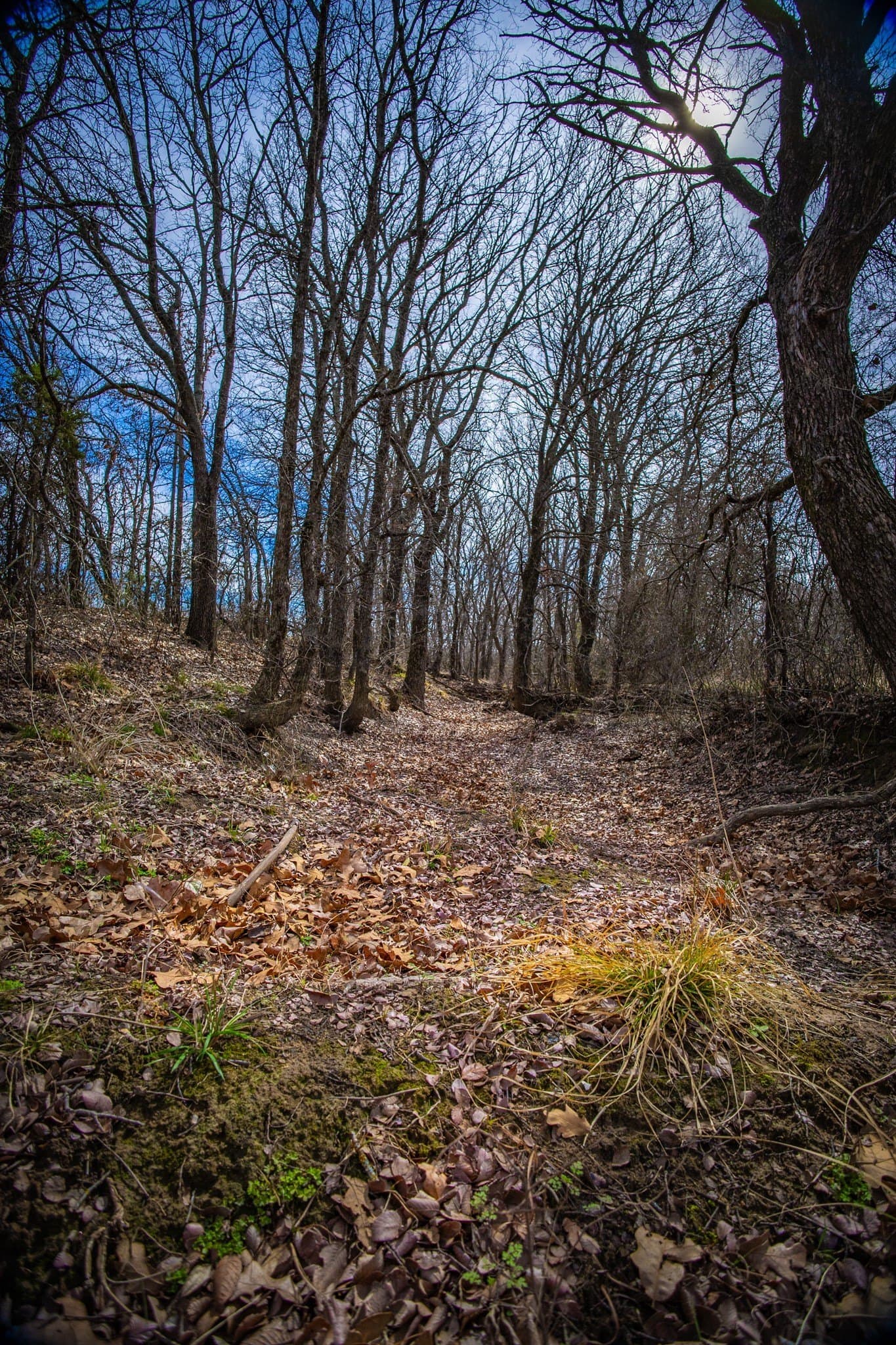 12.78 acres in Young County - photo 29