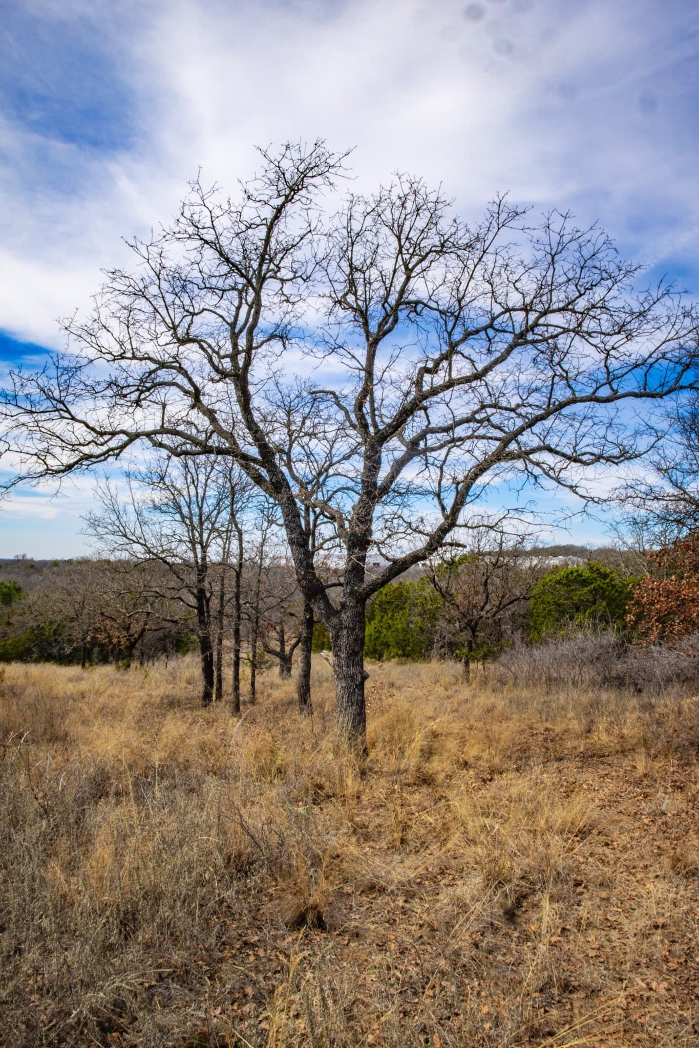 12.78 acres in Young County - photo 36
