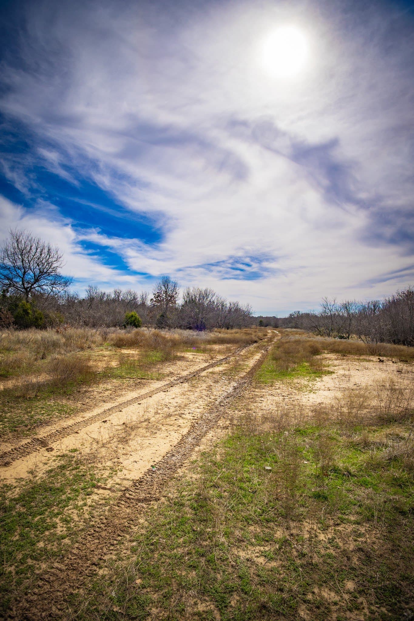 12.78 acres in Young County - photo 31