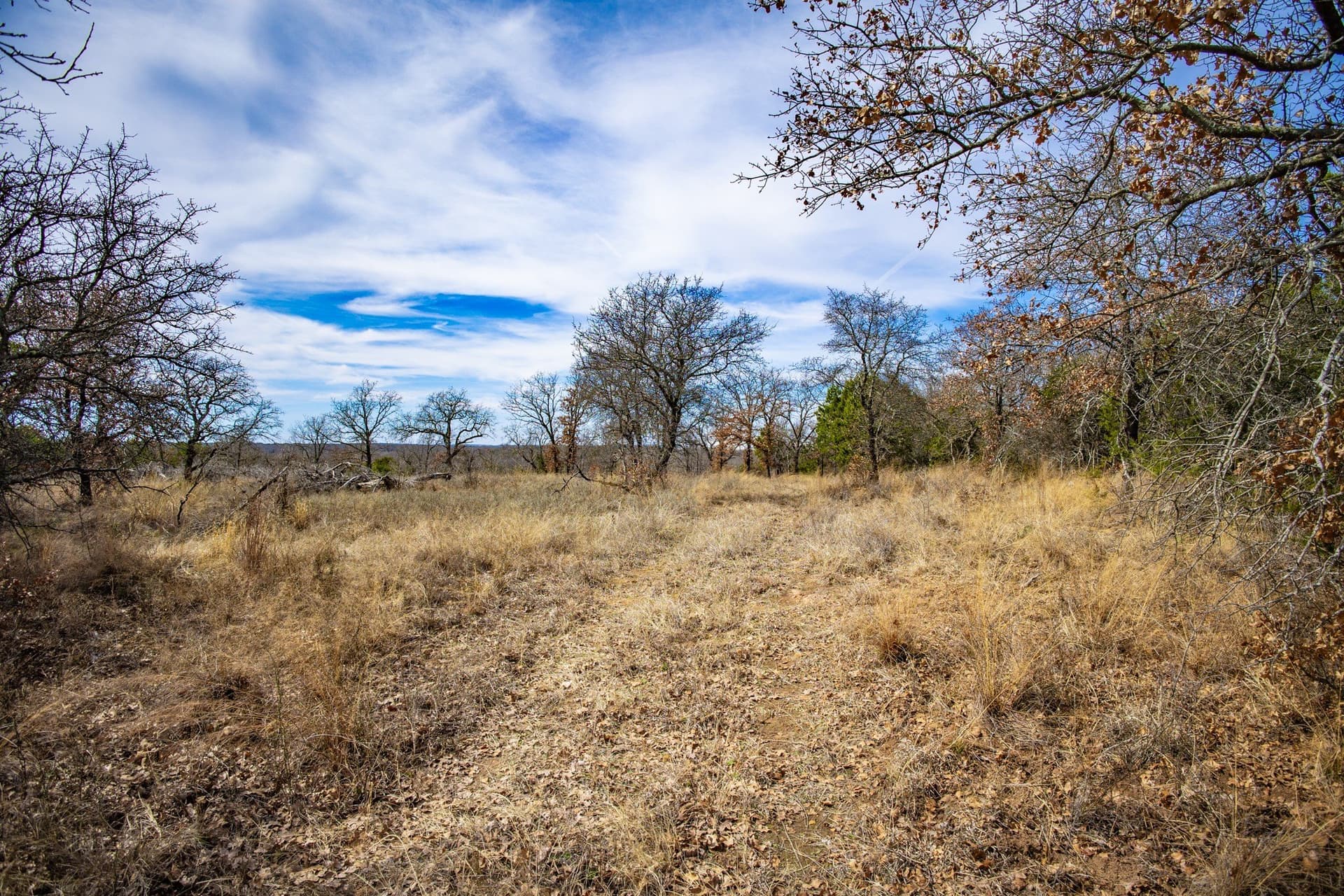 12.78 acres in Young County - photo 37
