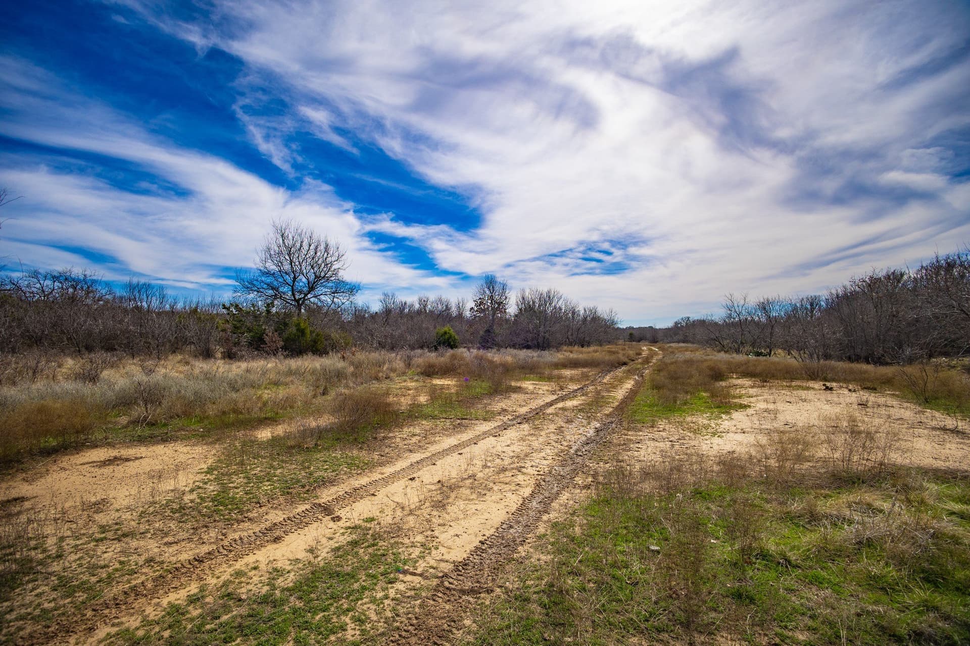 12.78 acres in Young County - photo 30
