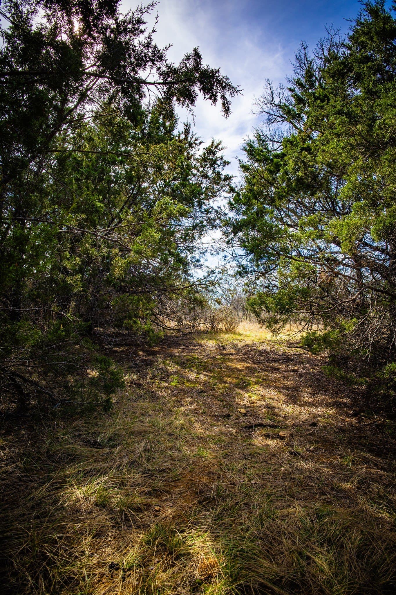 12.78 acres in Young County - photo 23
