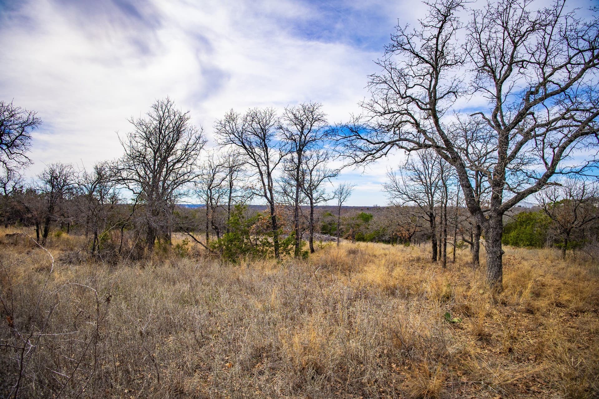 12.78 acres in Young County - photo 35