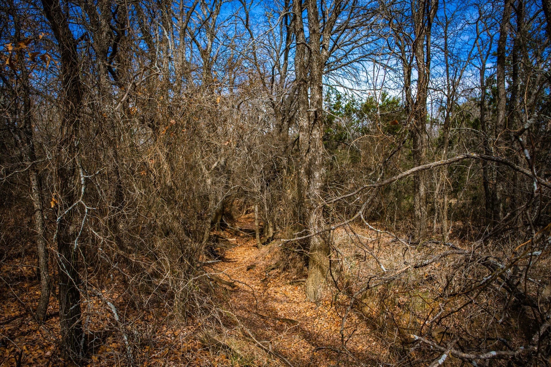 12.78 acres in Young County - photo 28
