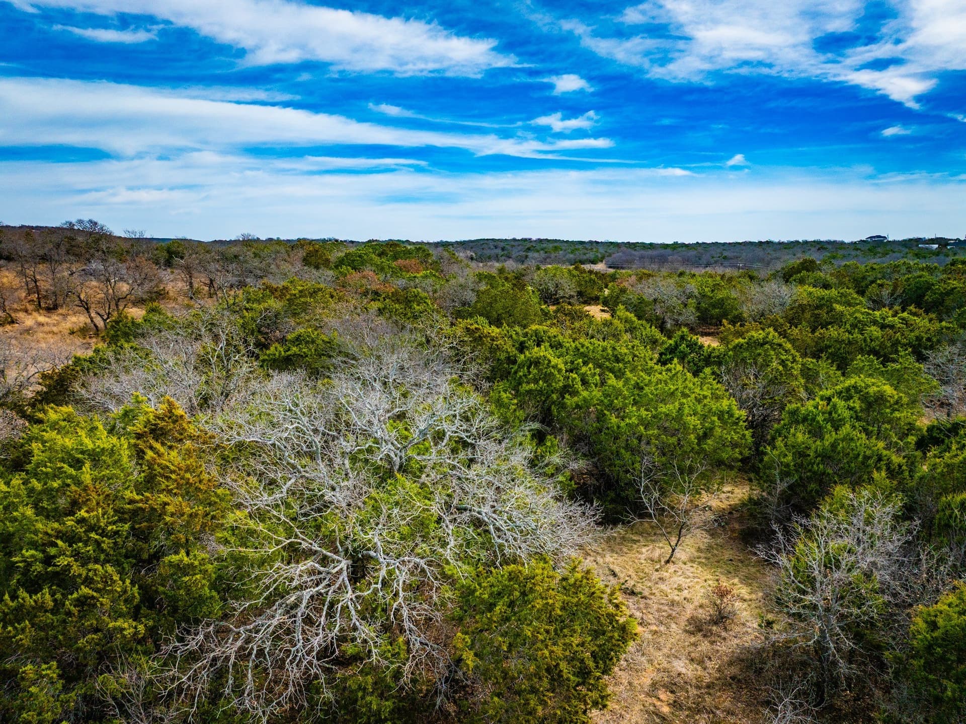 12.78 acres in Young County gallery image 4