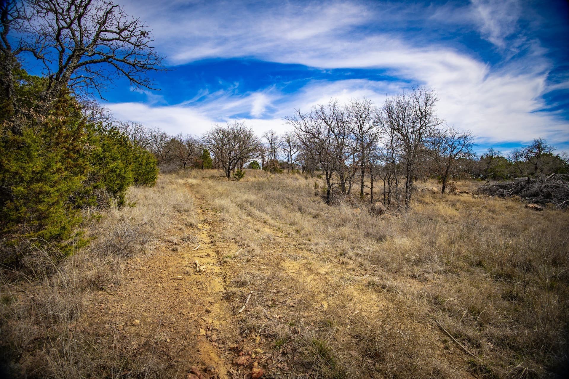 12.78 acres in Young County - photo 34