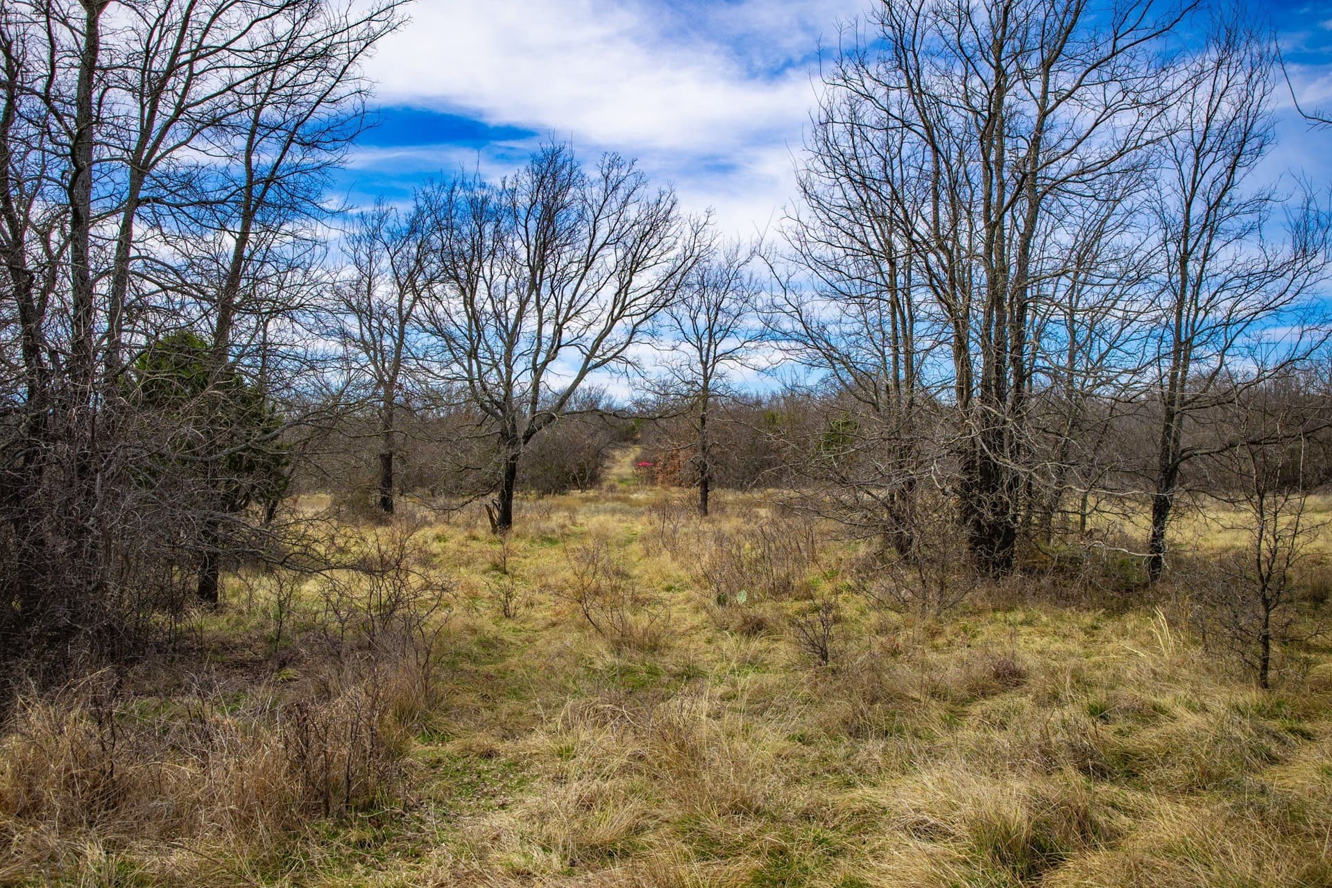 12.78 acres in Young County - photo 32