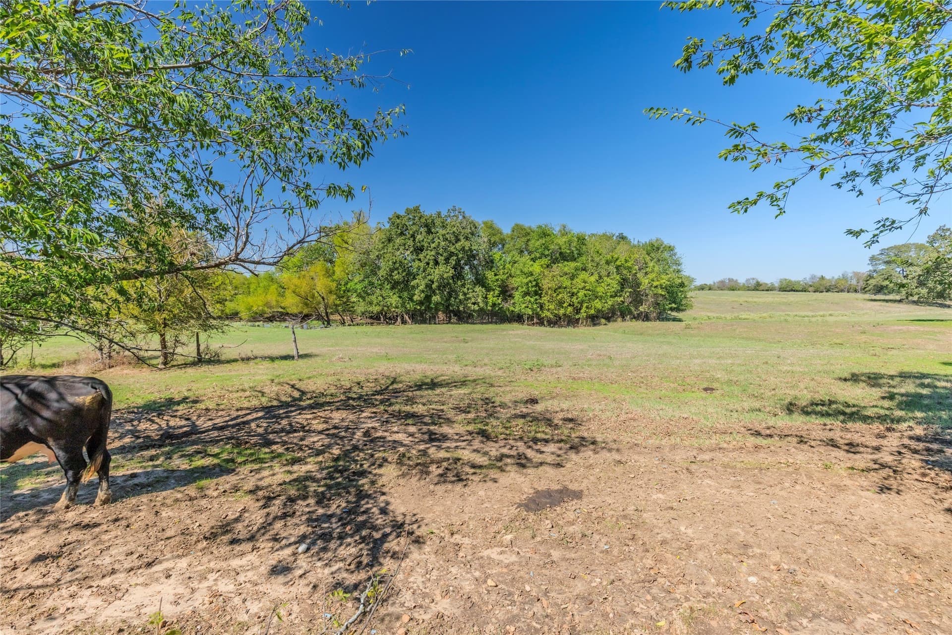 29.18 acres in Hunt County - photo 38