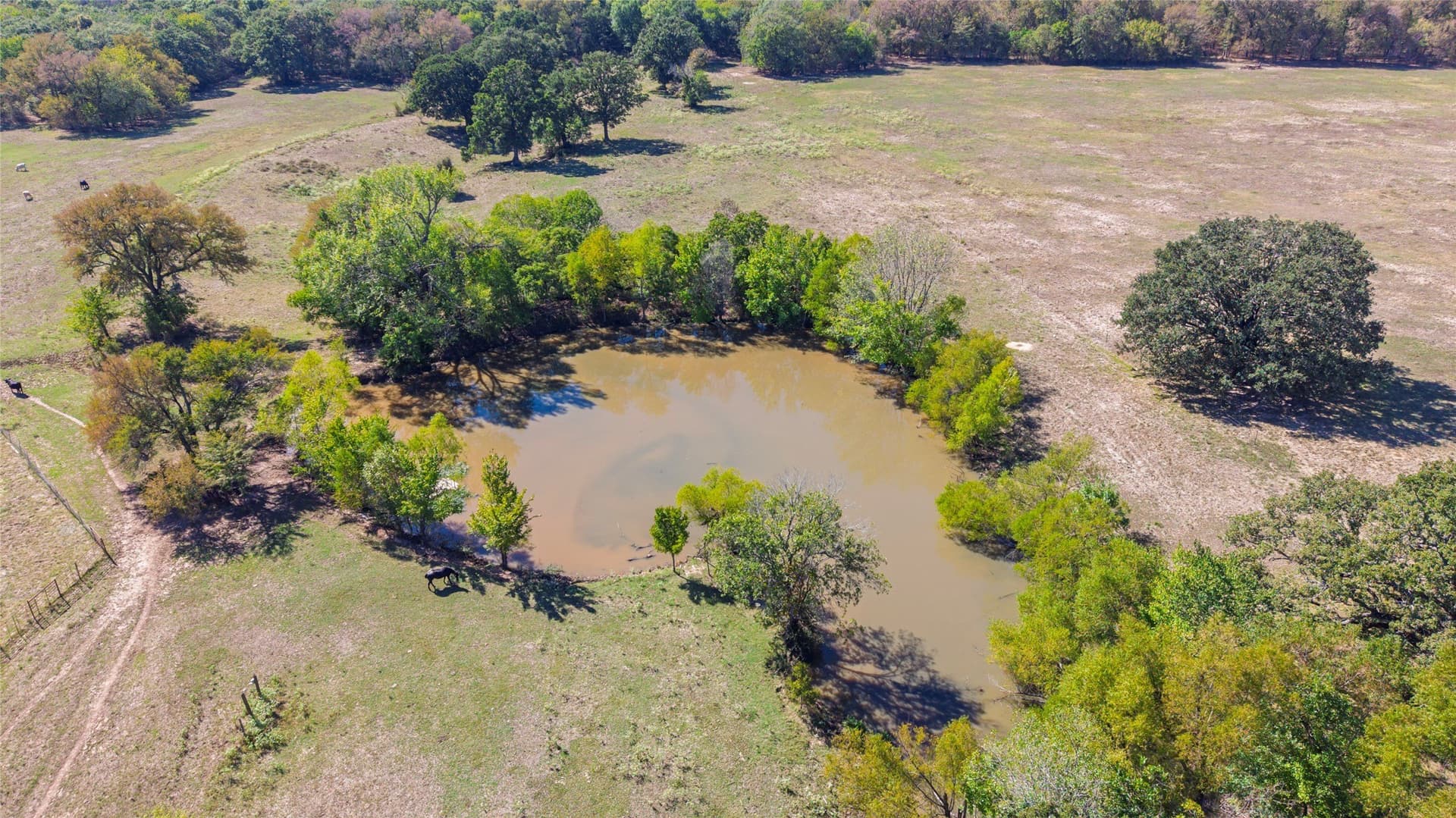 29.18 acres in Hunt County - photo 8