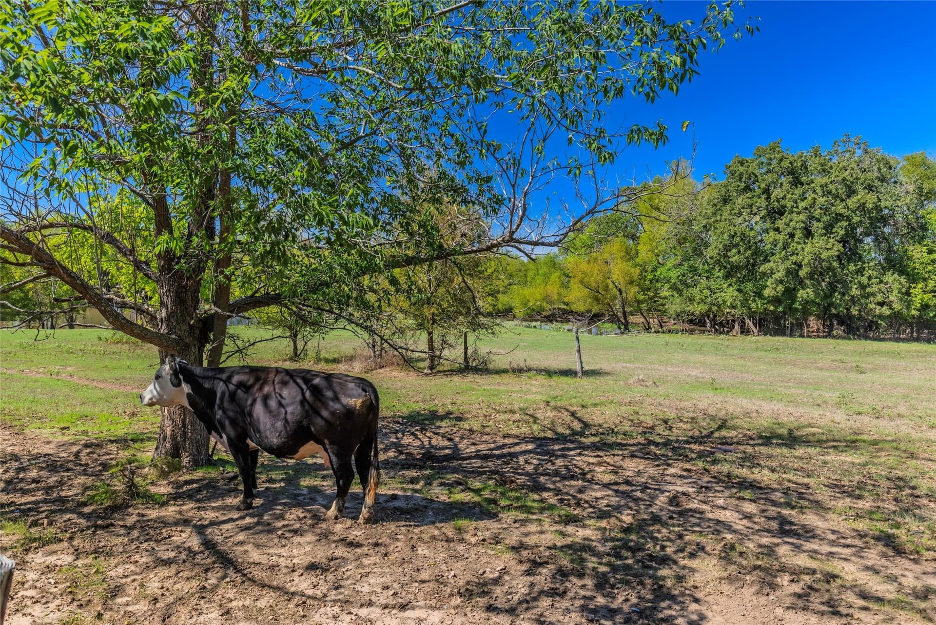 29.18 acres in Hunt County - photo 17