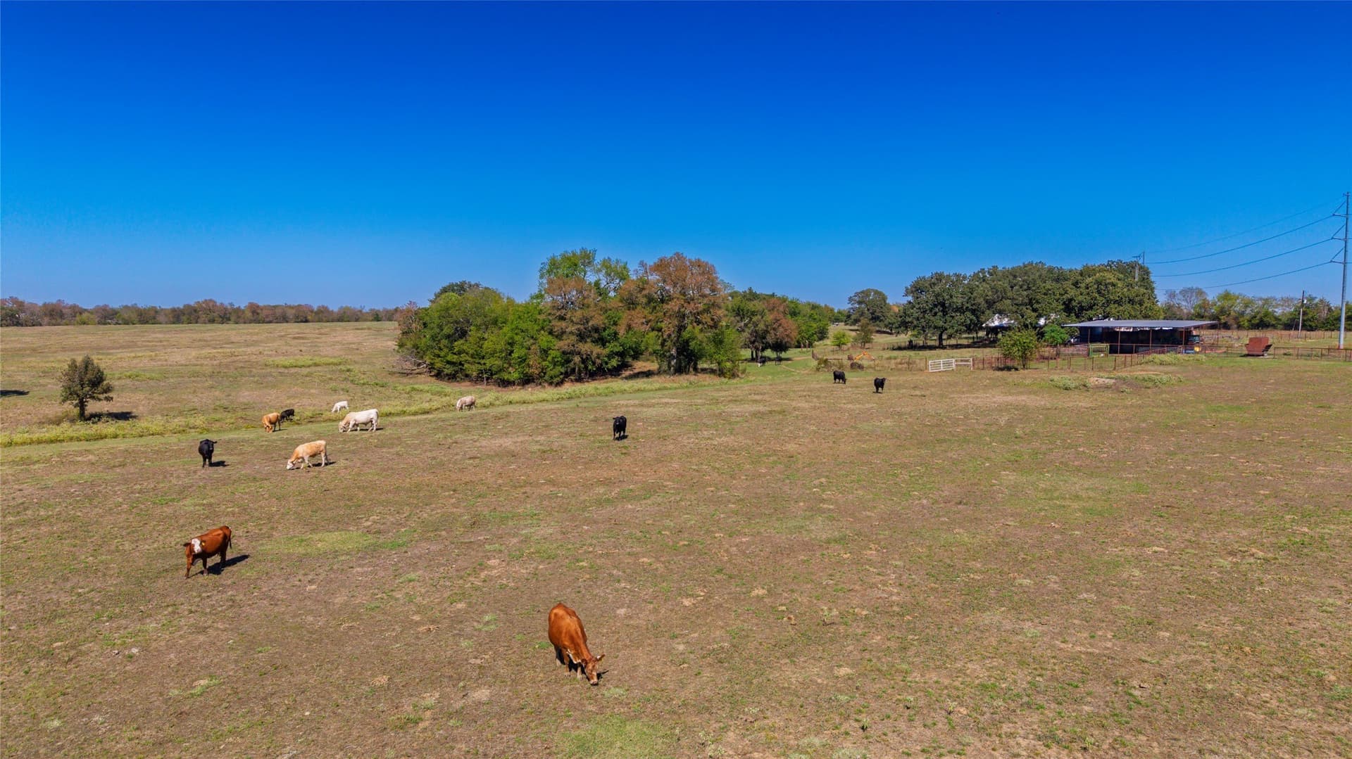 29.18 acres in Hunt County - photo 10