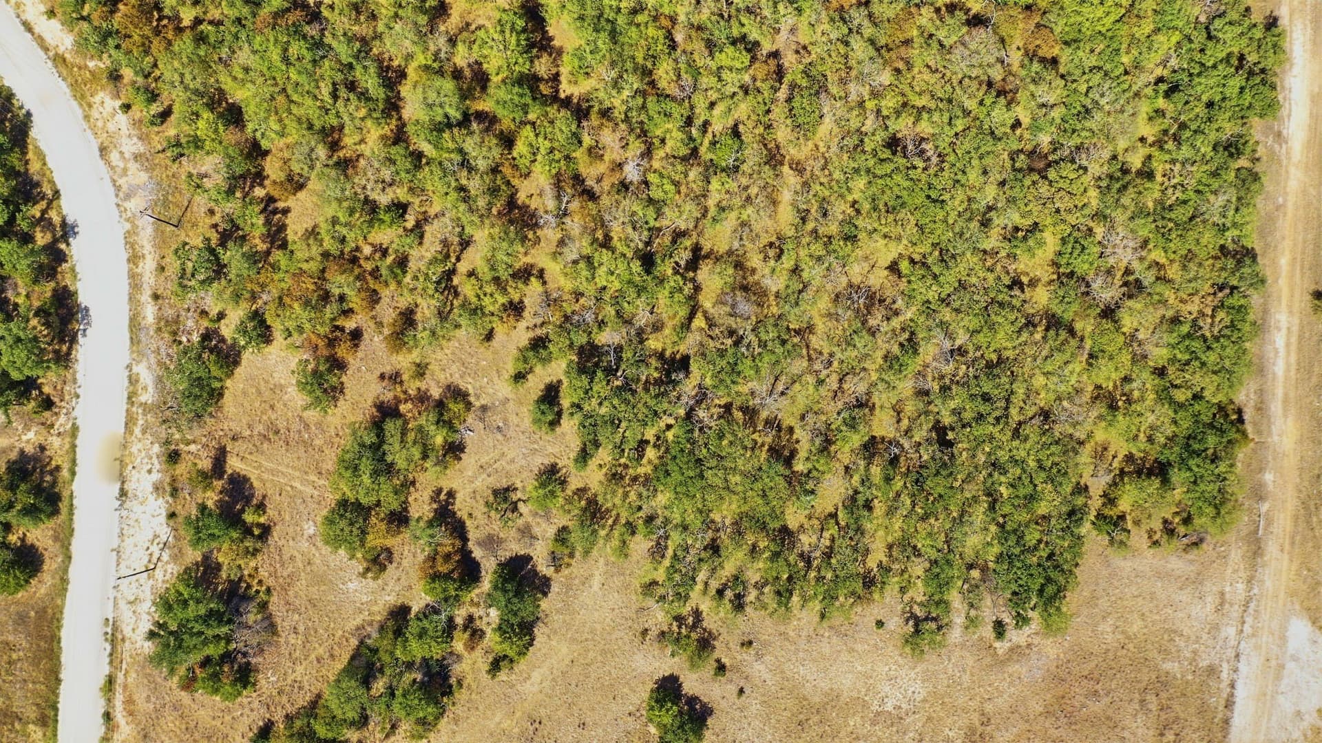 2.01 acres in Montague County - photo 11