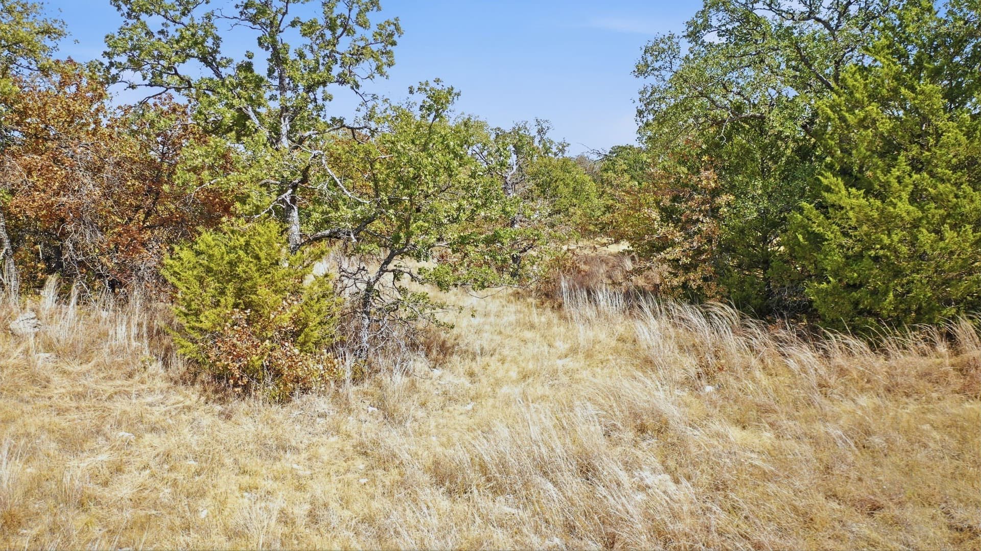 2.01 acres in Montague County - photo 7