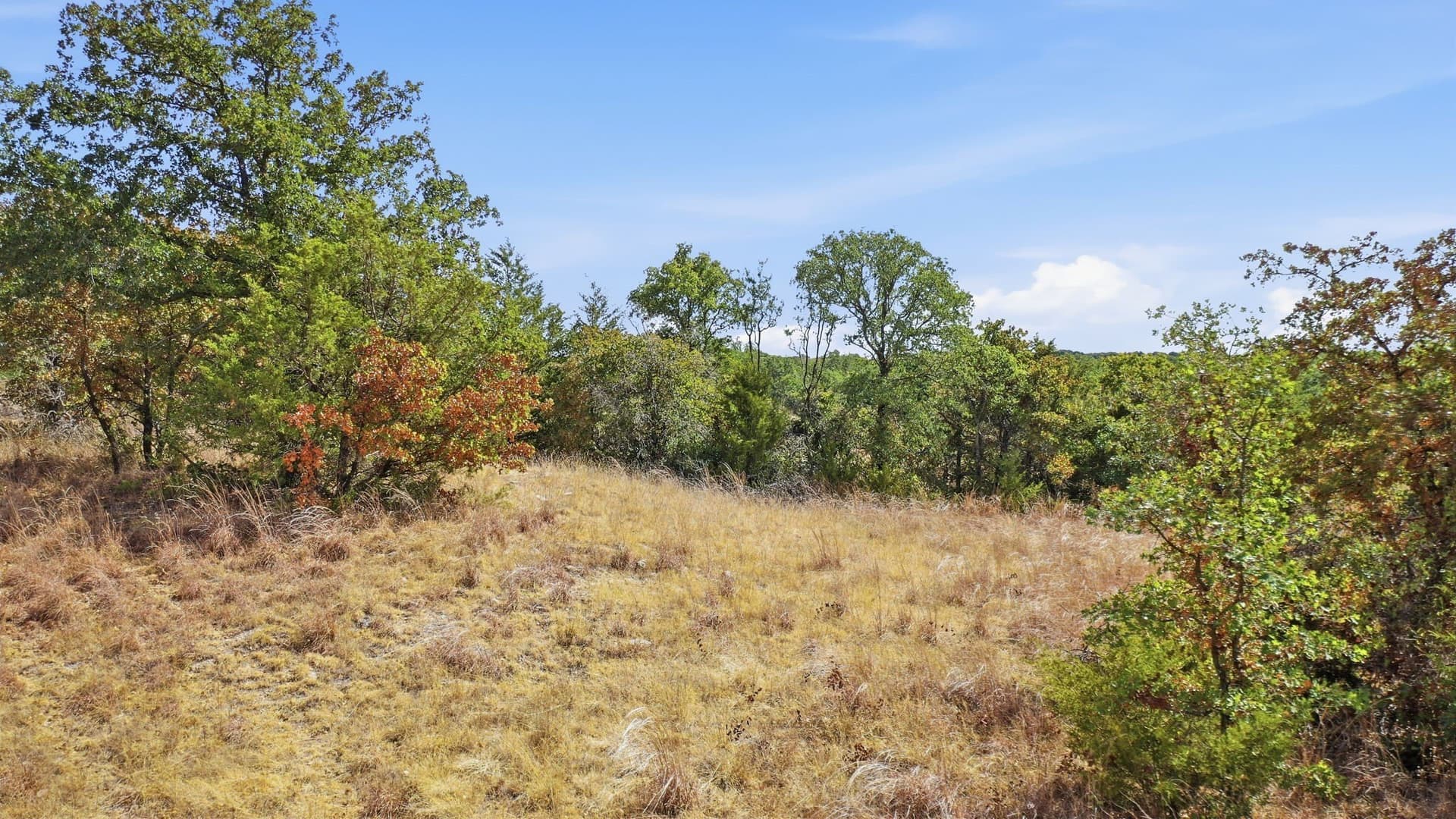 2.01 acres in Montague County - photo 9