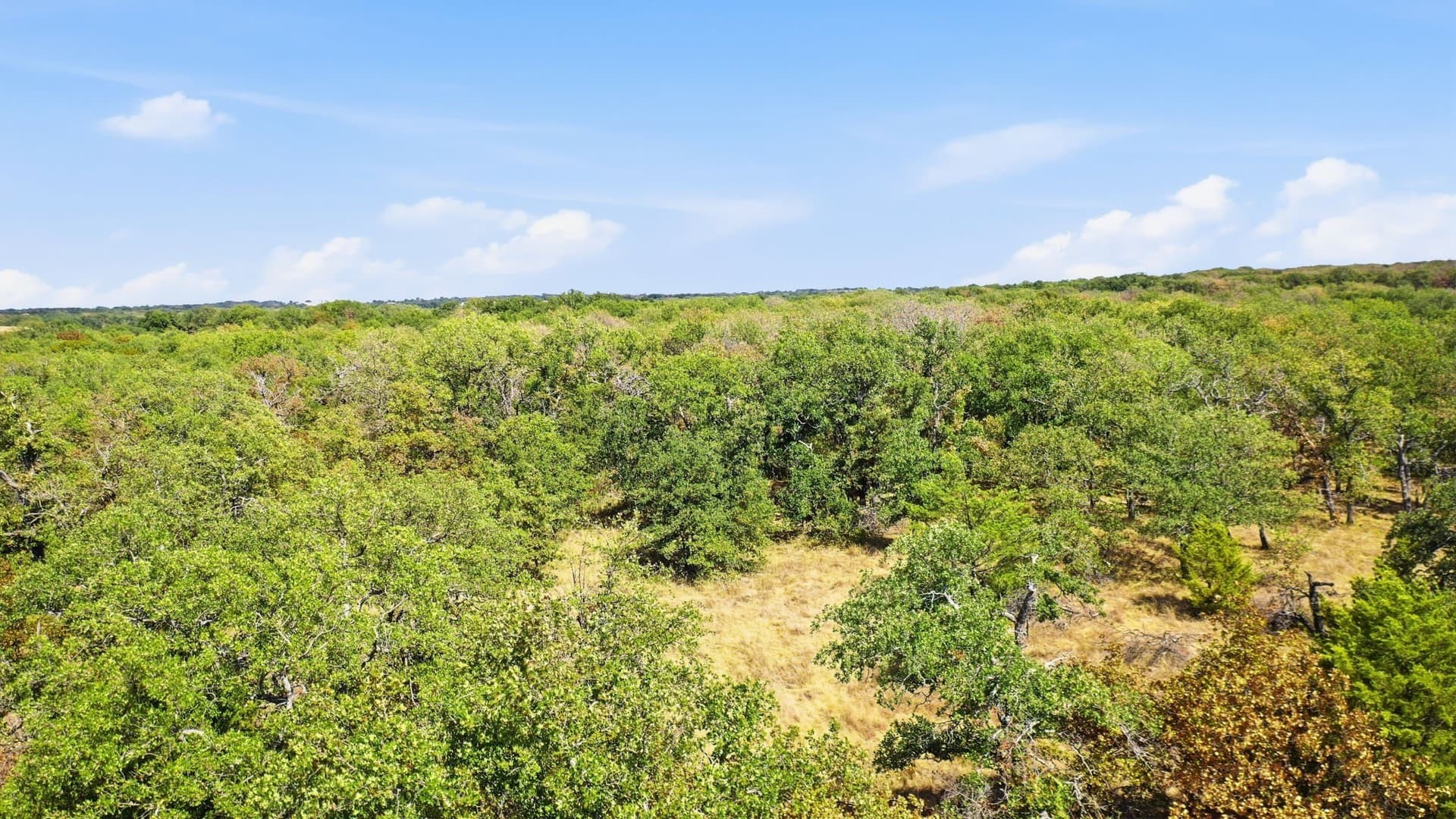2.01 acres in Montague County - photo 10