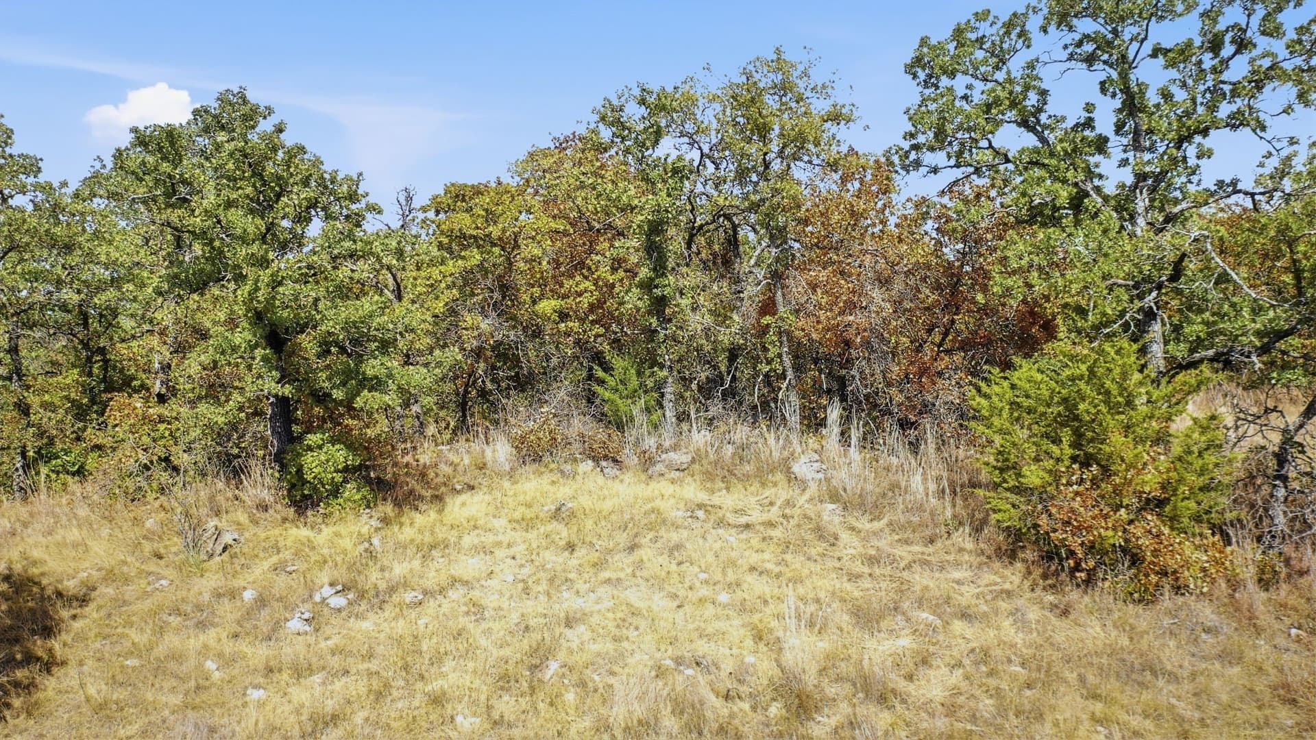 2.01 acres in Montague County - photo 8