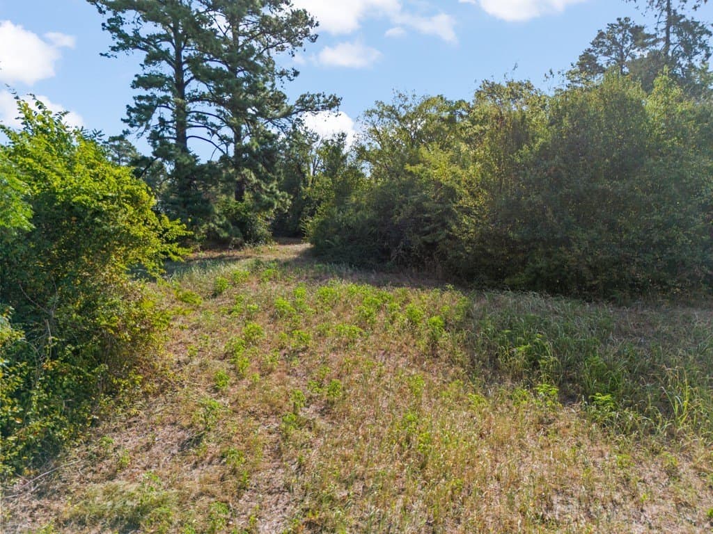 1.58 acres in Gregg County - photo 18